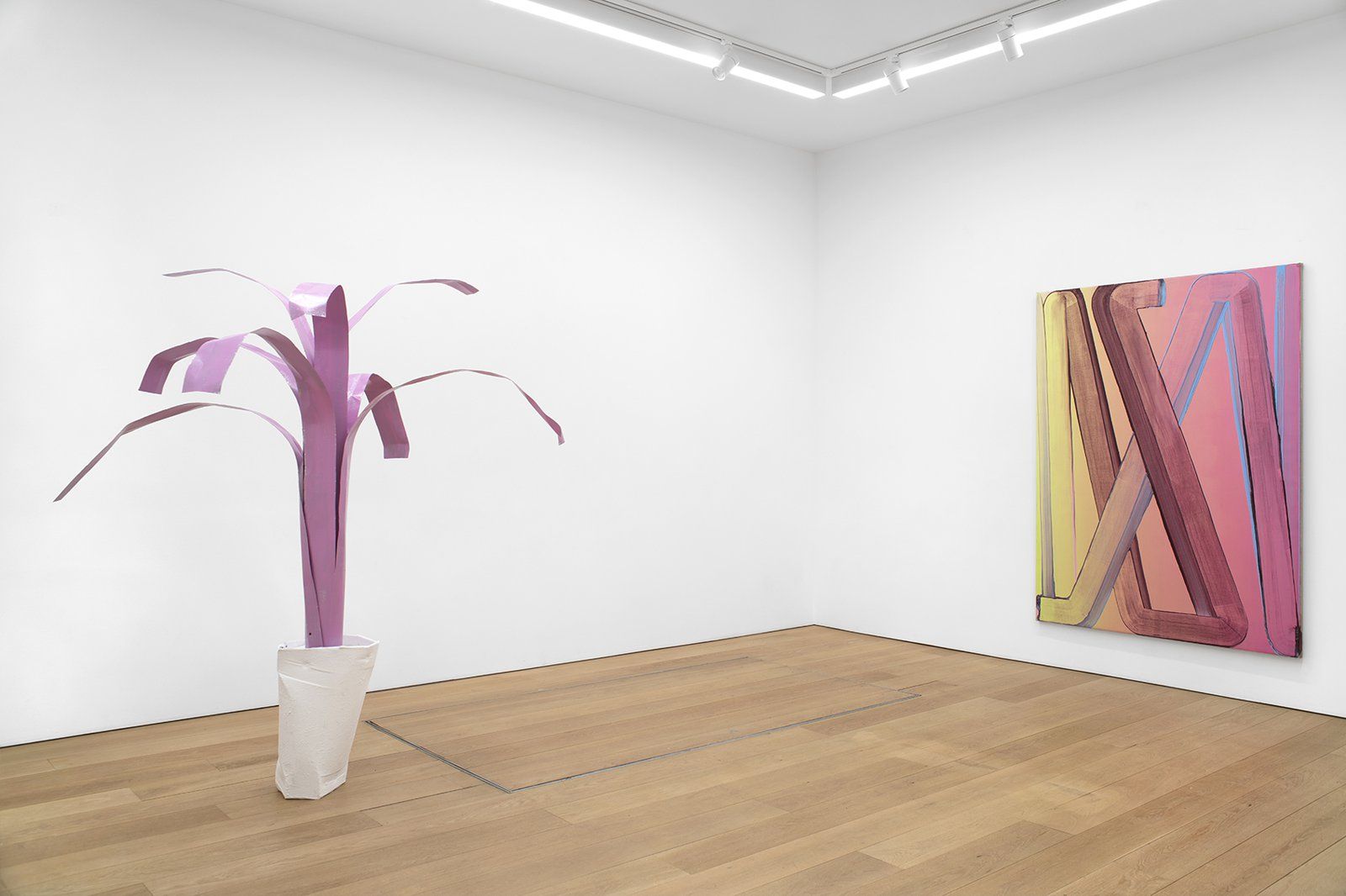 Robert Janitz, Library of a Dream at CANADA, photo 2