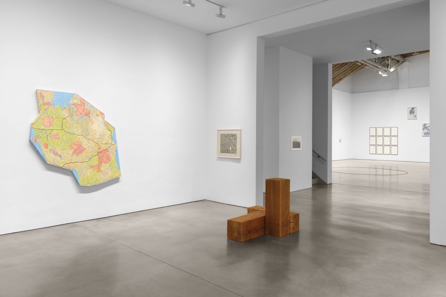 Borderline, Borderline at Paula Cooper, photo 6