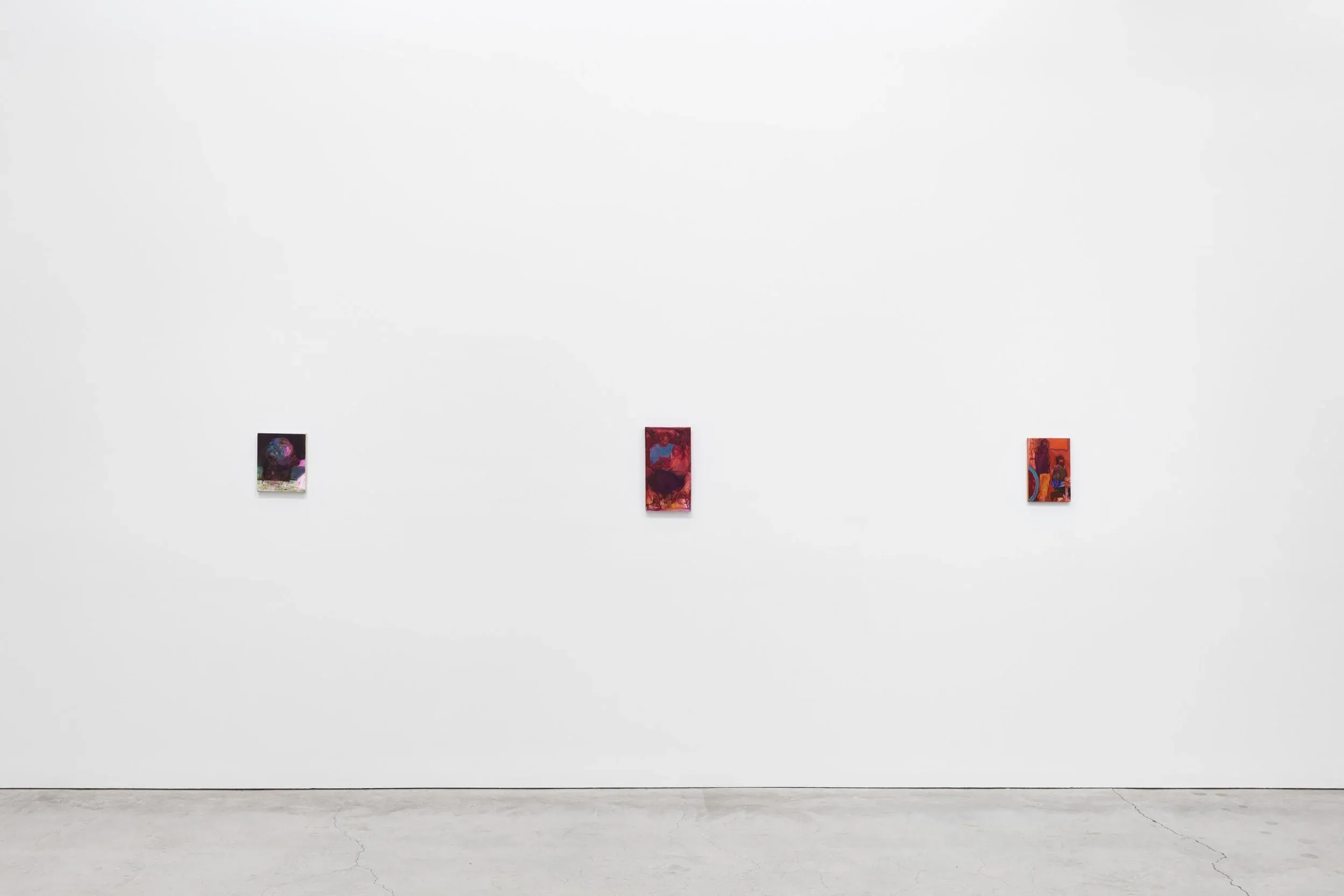 Jennifer Packer, Dead Letter at Sikkema Malloy Jenkins, photo 7