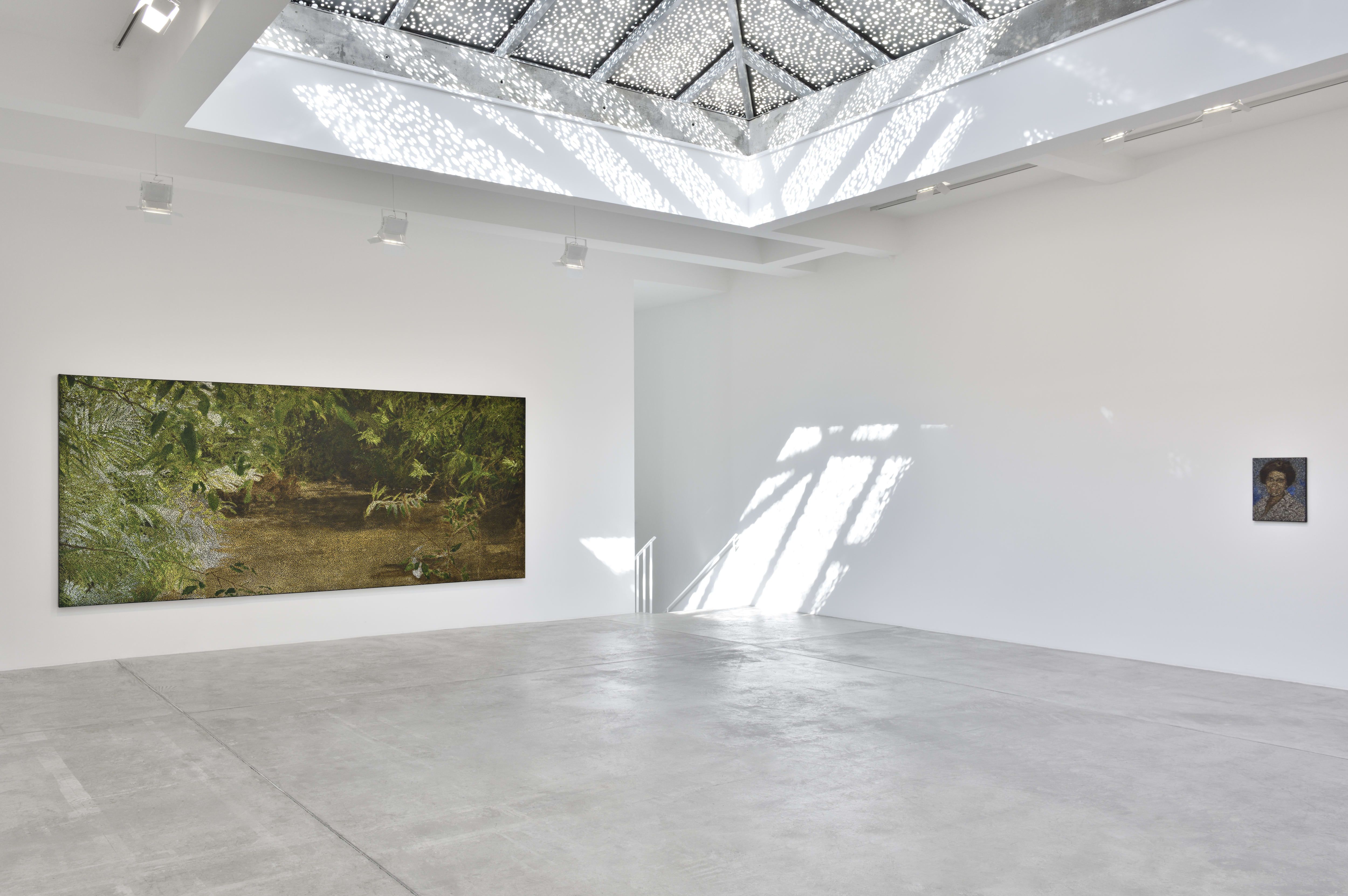 Daniel Boyd, Dream Time at Marian Goodman, photo 2