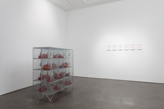 Mona Hatoum, Twelve Windows at Alexander and Bonin, photo 4