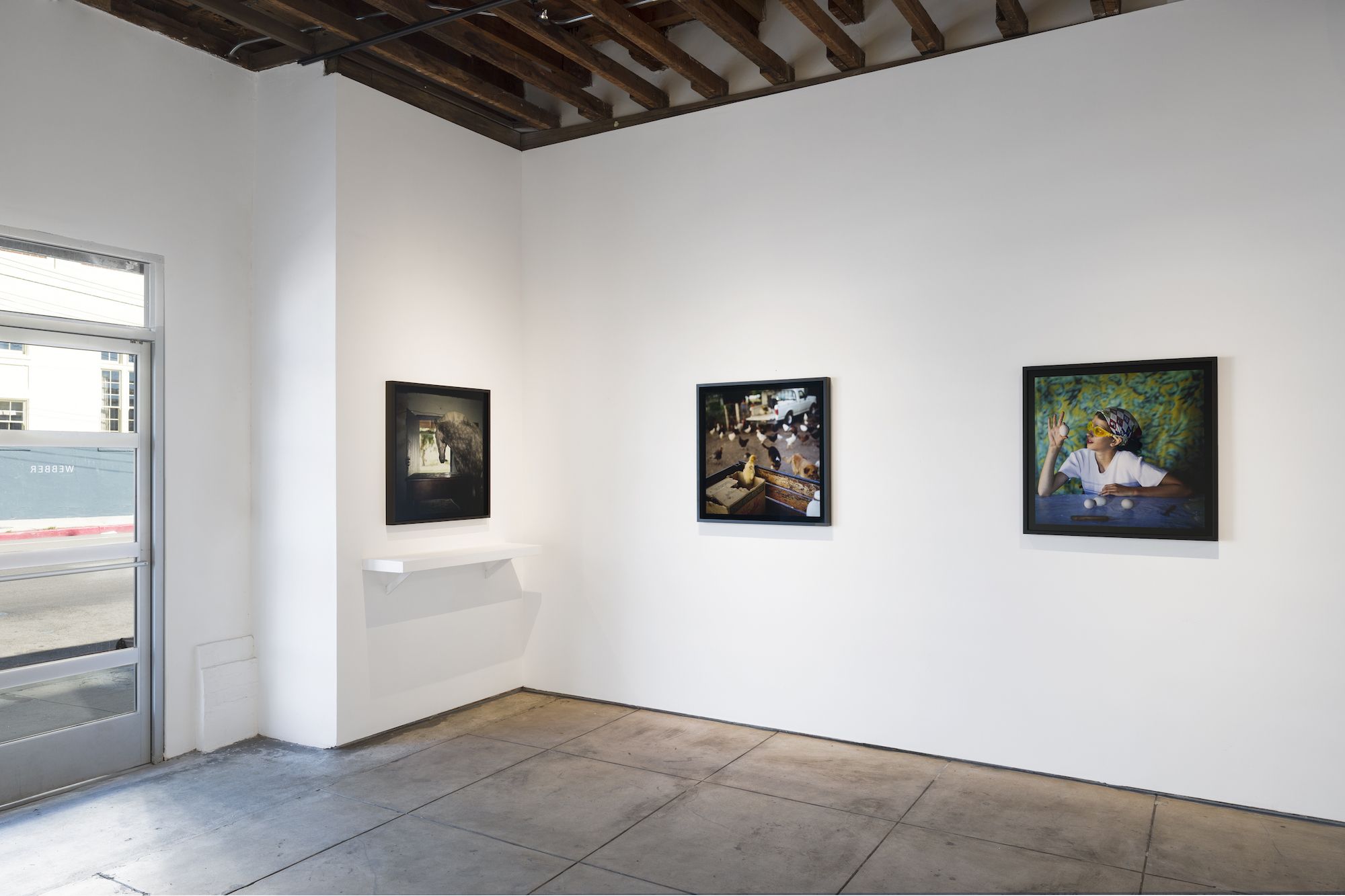 Alessandra Sanguinetti, The Sixth Day at Webber, photo 9