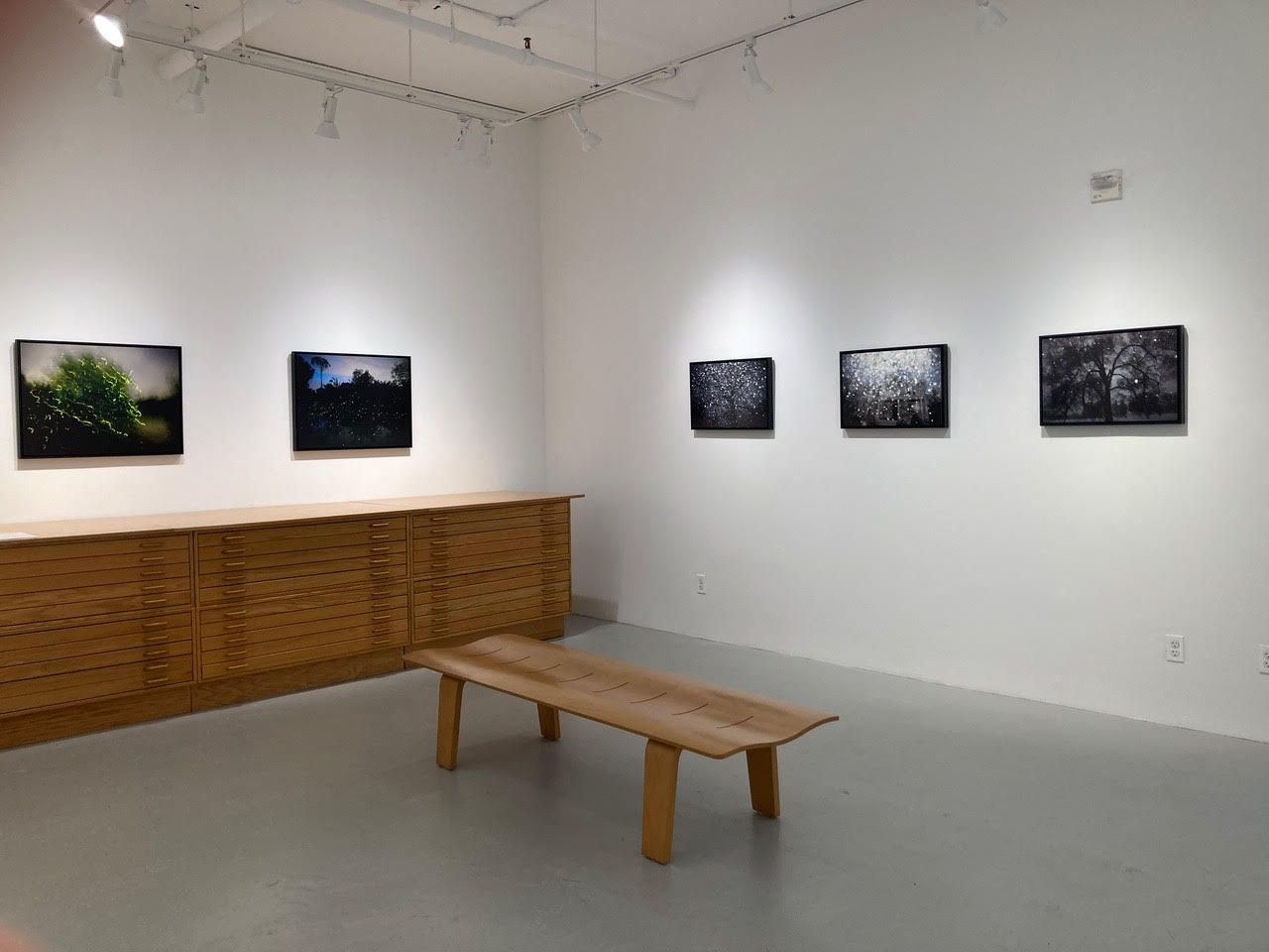Elijah Gowin, Spirit and Shadow at Robert Mann Gallery, photo 2