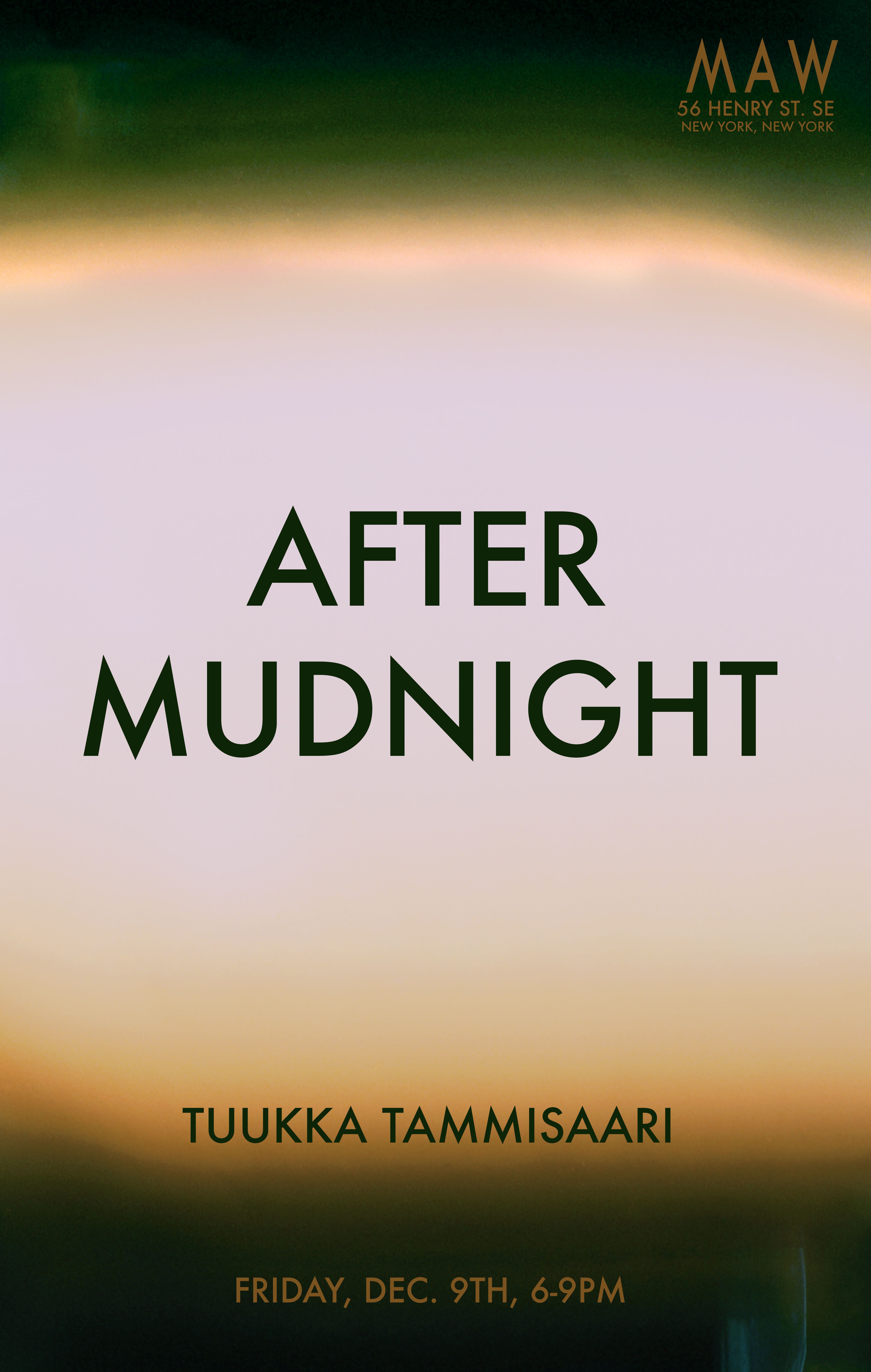 Tuukka Tammisaari, After Mudnight at MAW, photo 2