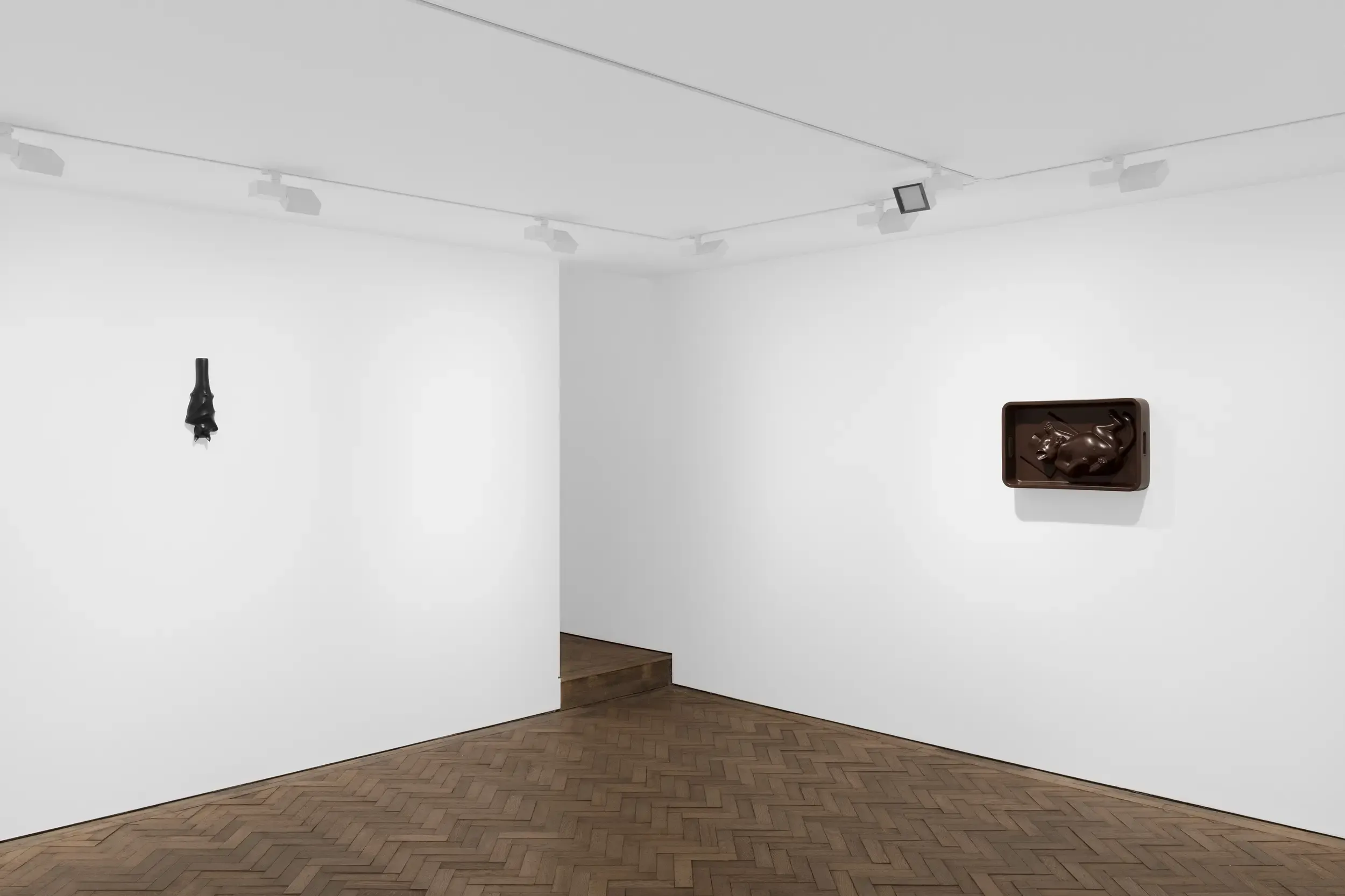 Nicolas Deshayes, The Natural World at Modern Art, photo 4