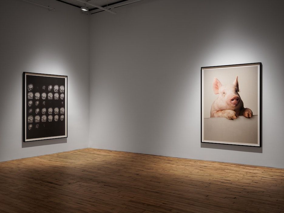 Heji Shin, The Big Nudes at 52 Walker, photo 2