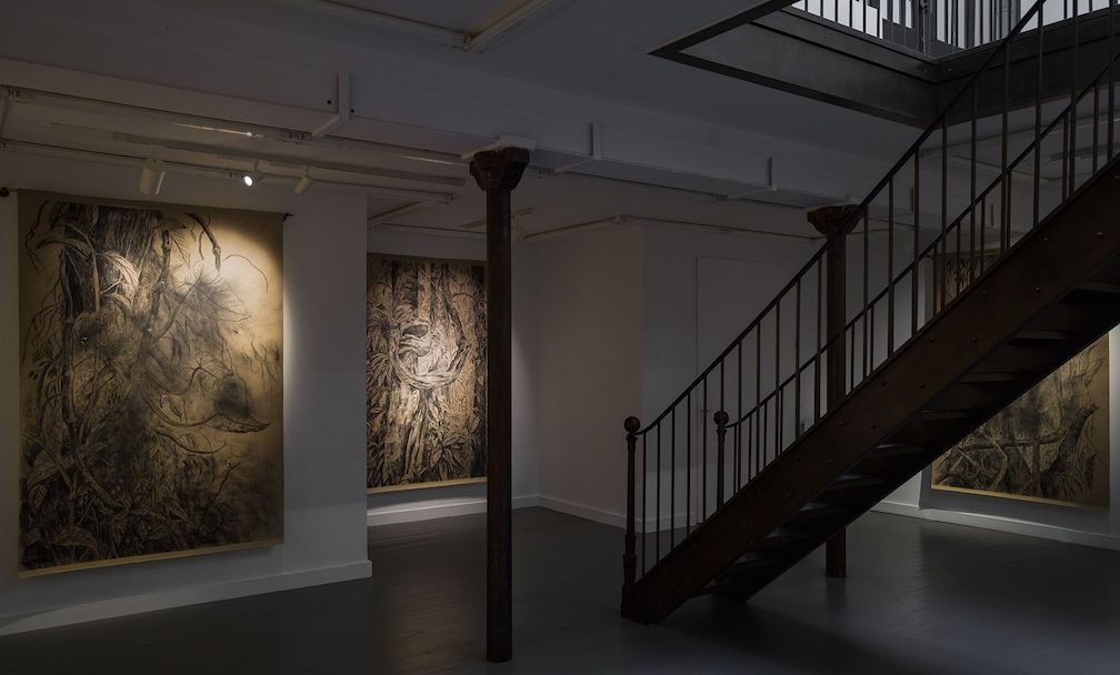 Nohemí Perez, image 4 of 9