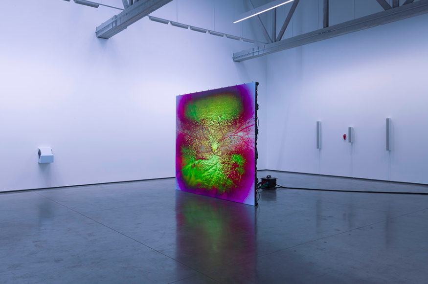 Shahryar Nashat, Image Is An Orphan at David Kordansky Gallery, photo 4