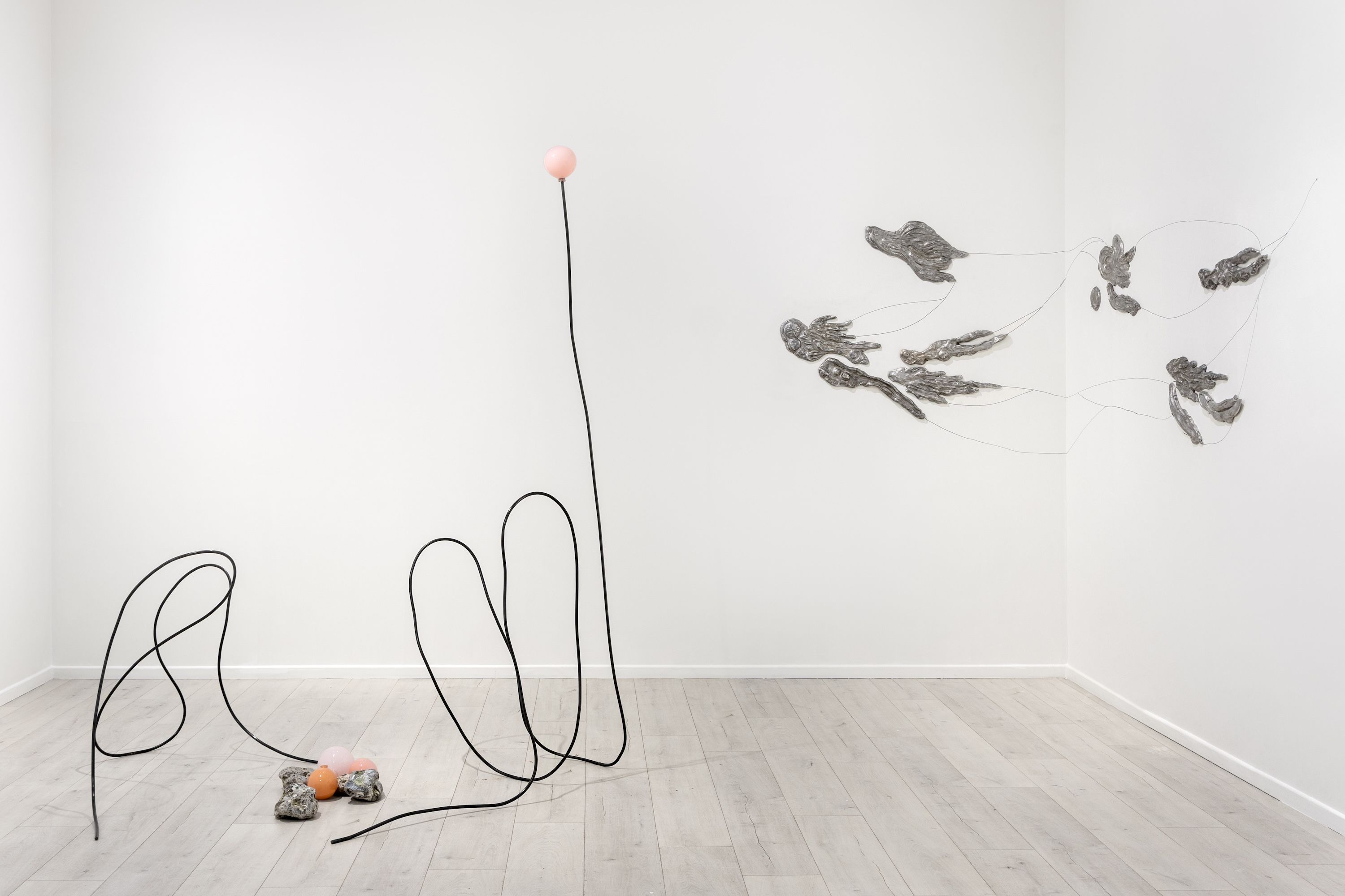 Carin Ellberg, Coastal Settlers and Species from the Sea at Andréhn-Schiptjenko, photo 2