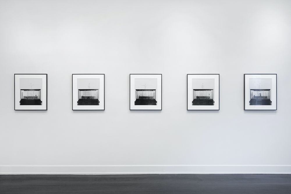 Troy Brauntuch, A Strange New Beauty at Petzel, photo 5