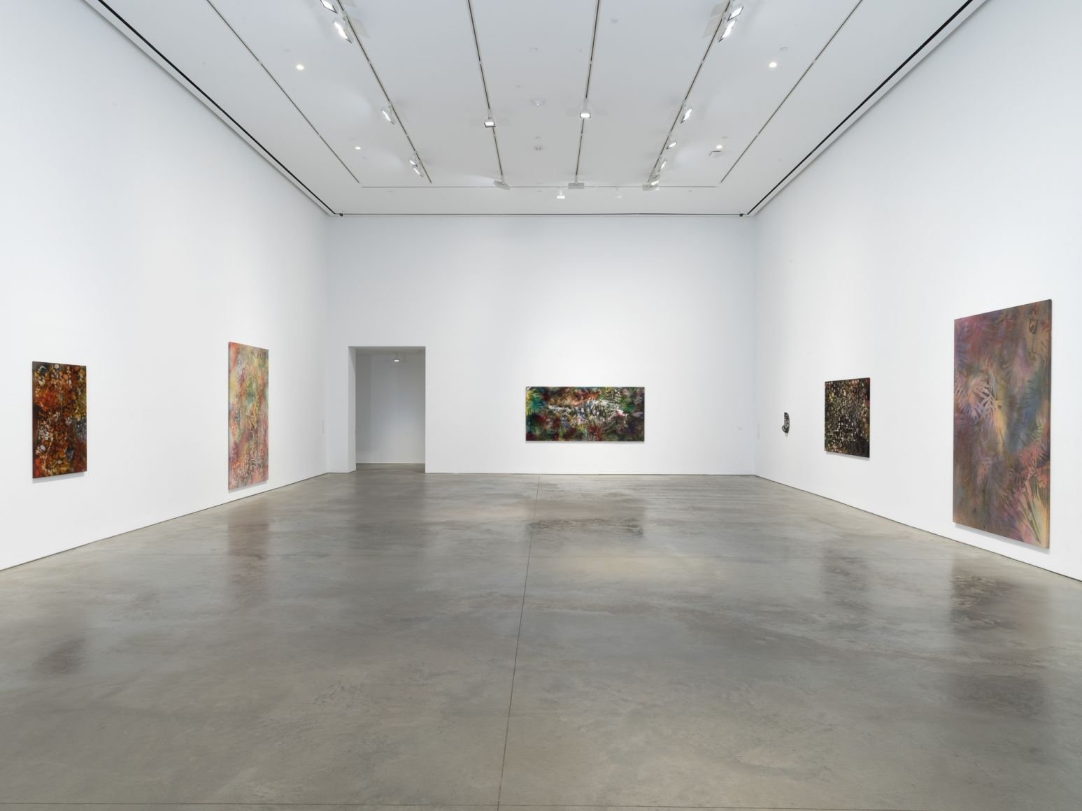 Sam Falls, Sam Falls at 303 Gallery, photo 3