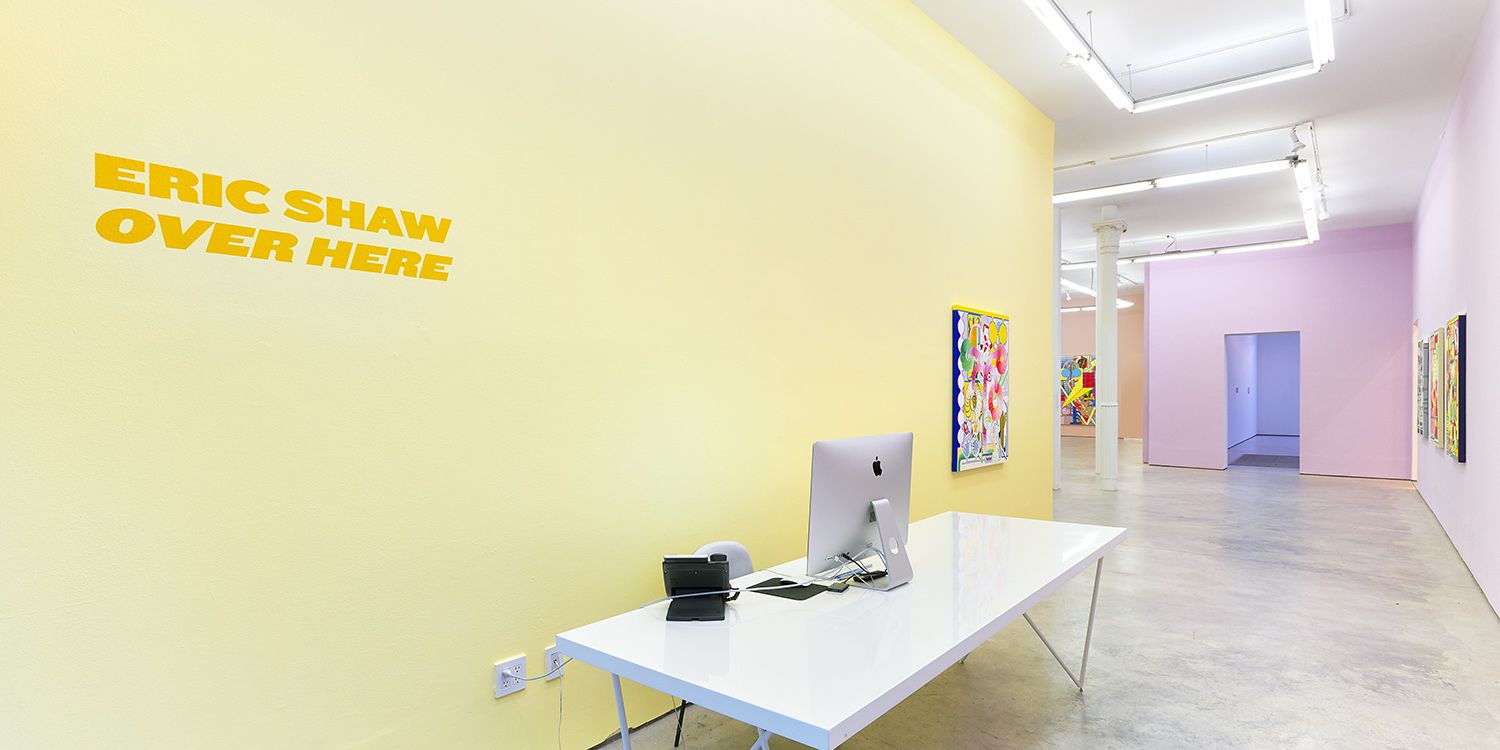 Installation view 7