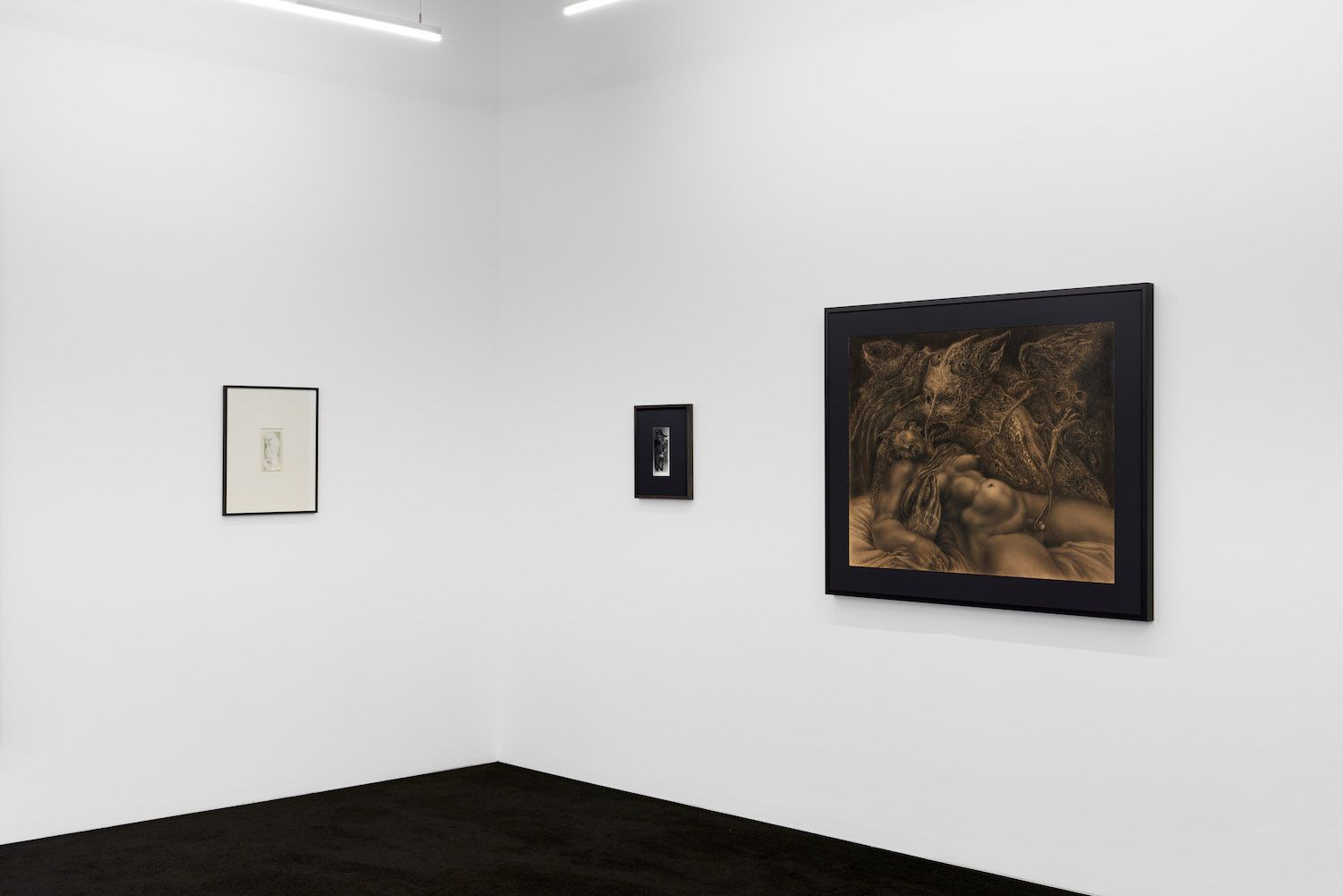Sibylle Ruppert, Frenzy of the Visible at Project Native Informant, photo 2