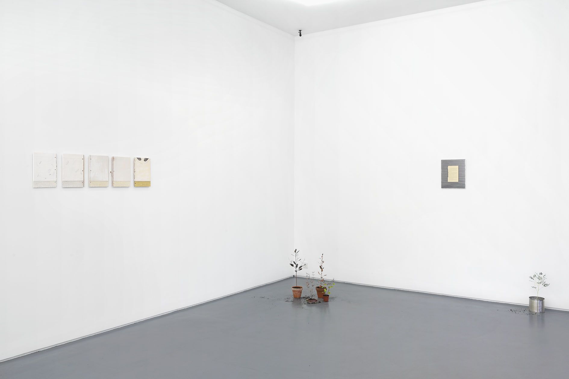 José Montealegre, Nuevo Mundo at Mountains, photo 4