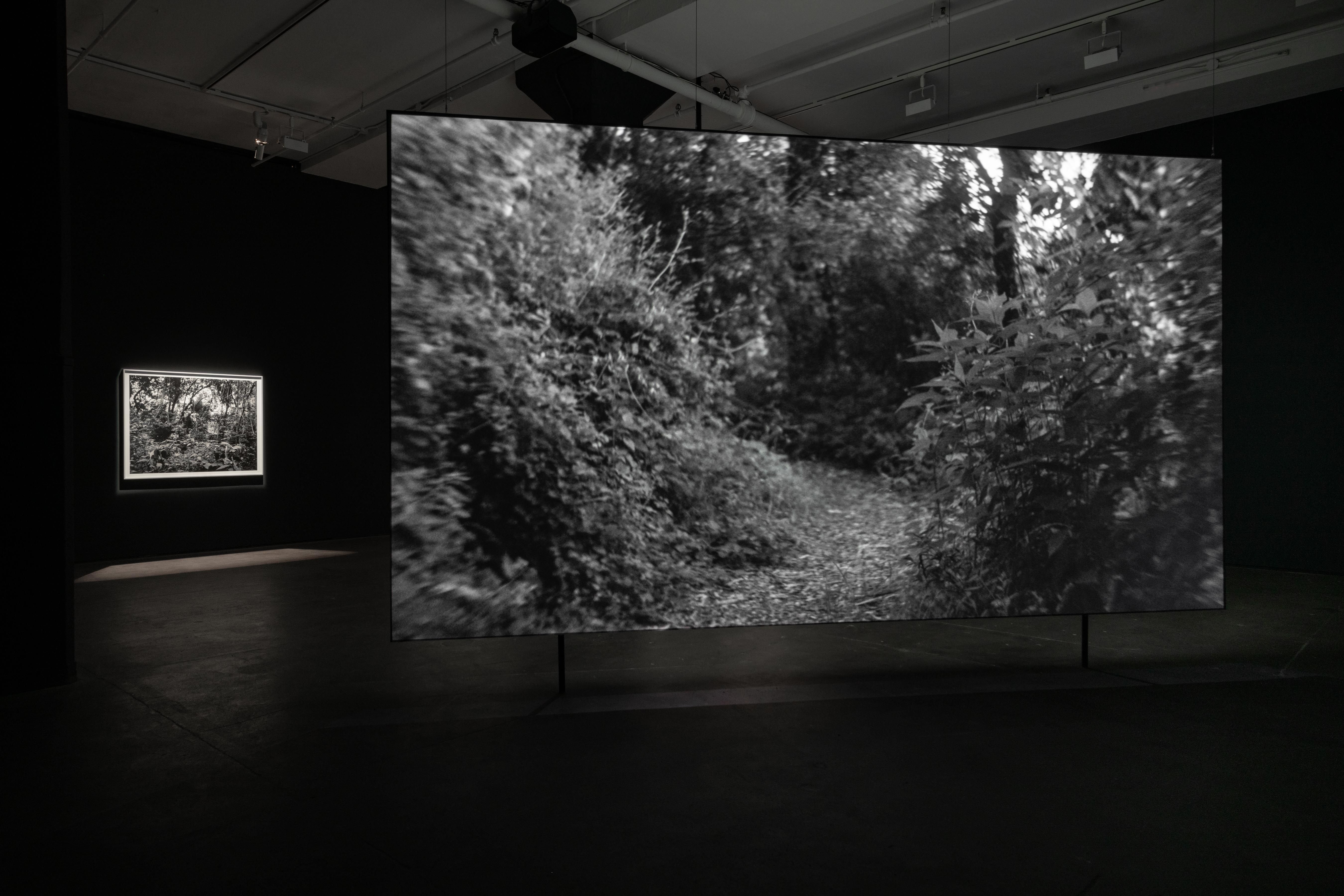 Installation view 2