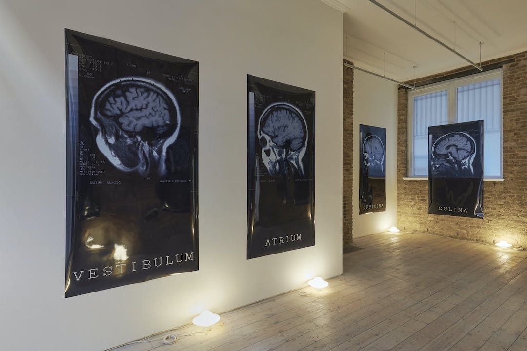 Vivian Lynn, Spin at Phillida Reid, photo 5