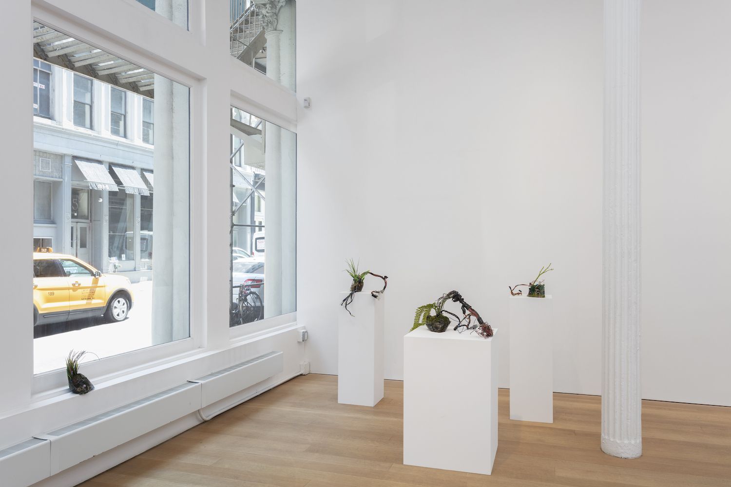 Mary's New Home and Other Works, Mary's New Home and Other Works at Alexander and Bonin, photo 3