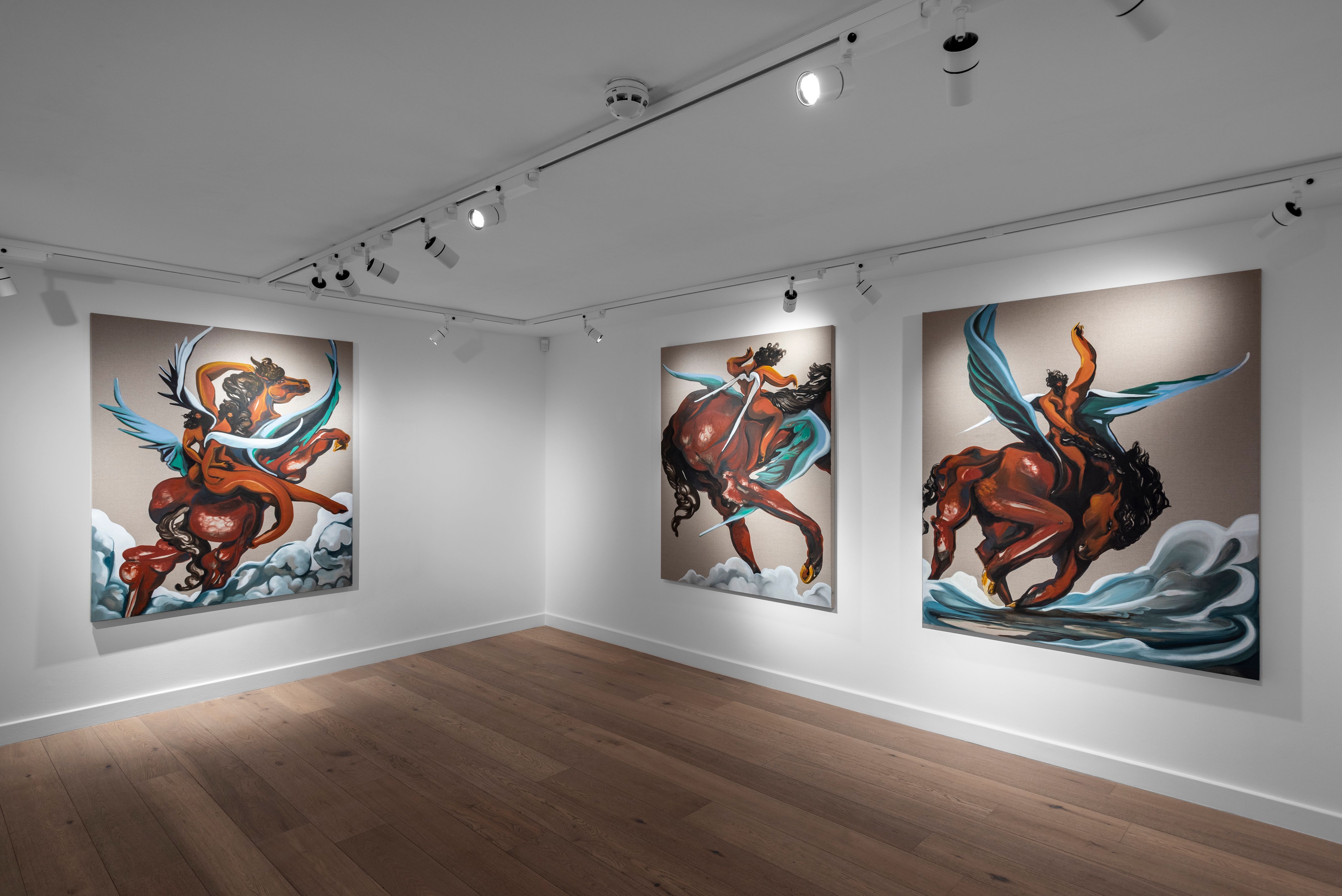 Asif Hoque, The American Loverboy at Taymour Grahne Projects, photo 8