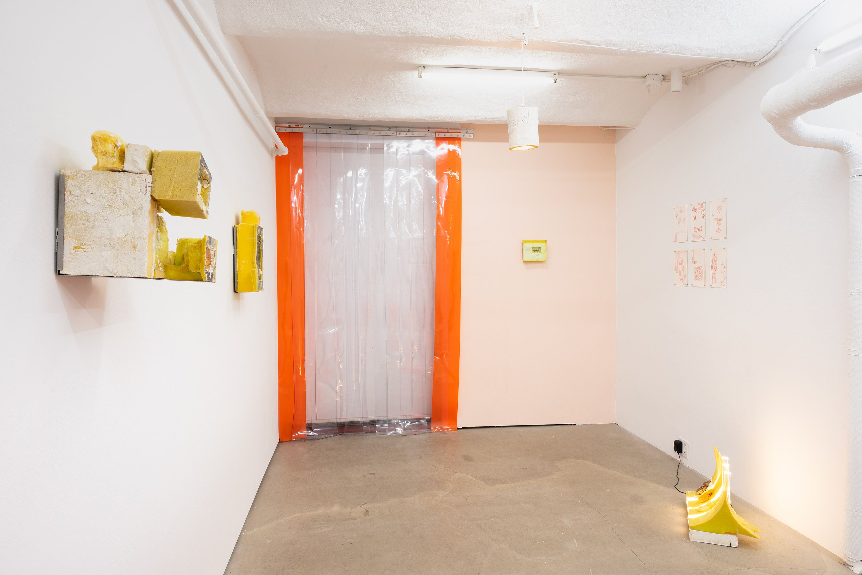 Kay Kasparhauser, New Decay at Entrance, photo 3
