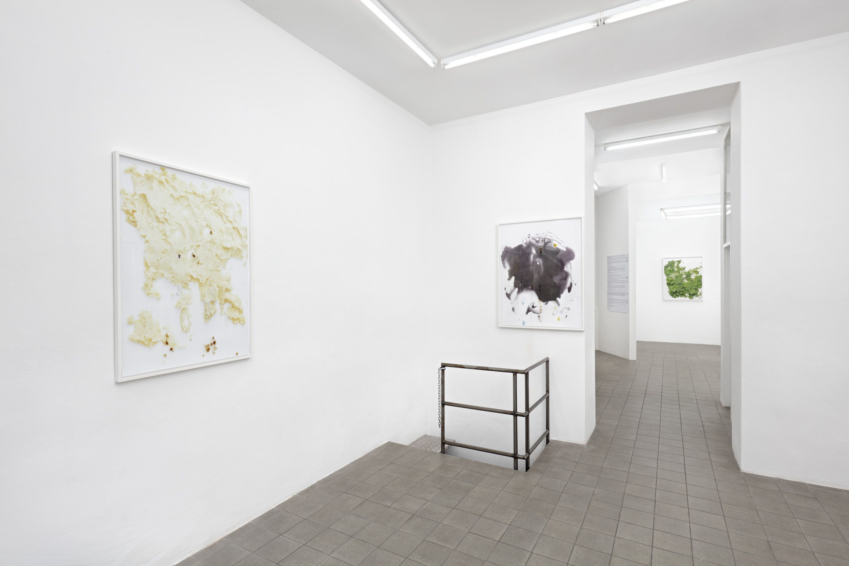 Lisa Holzer, image 2 of 3