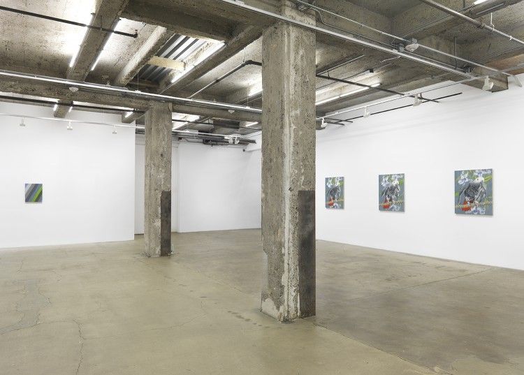 Ann Craven, Hello, Hello, Hello at Maccarone, photo 9