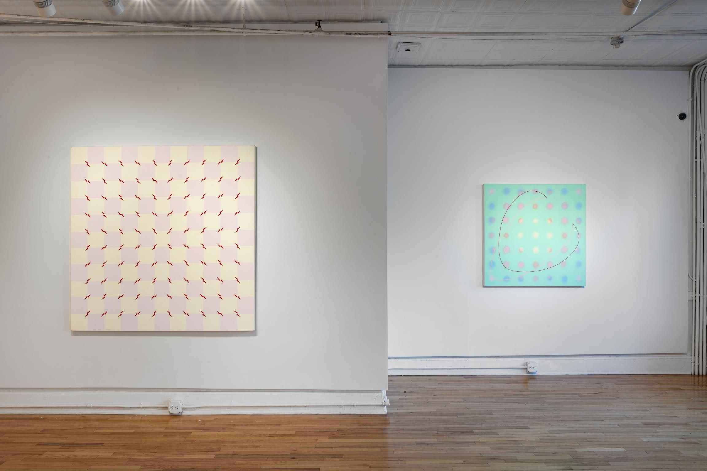 Audra Skuodas, Vibrational Vulnerability at Cristin Tierney, photo 2
