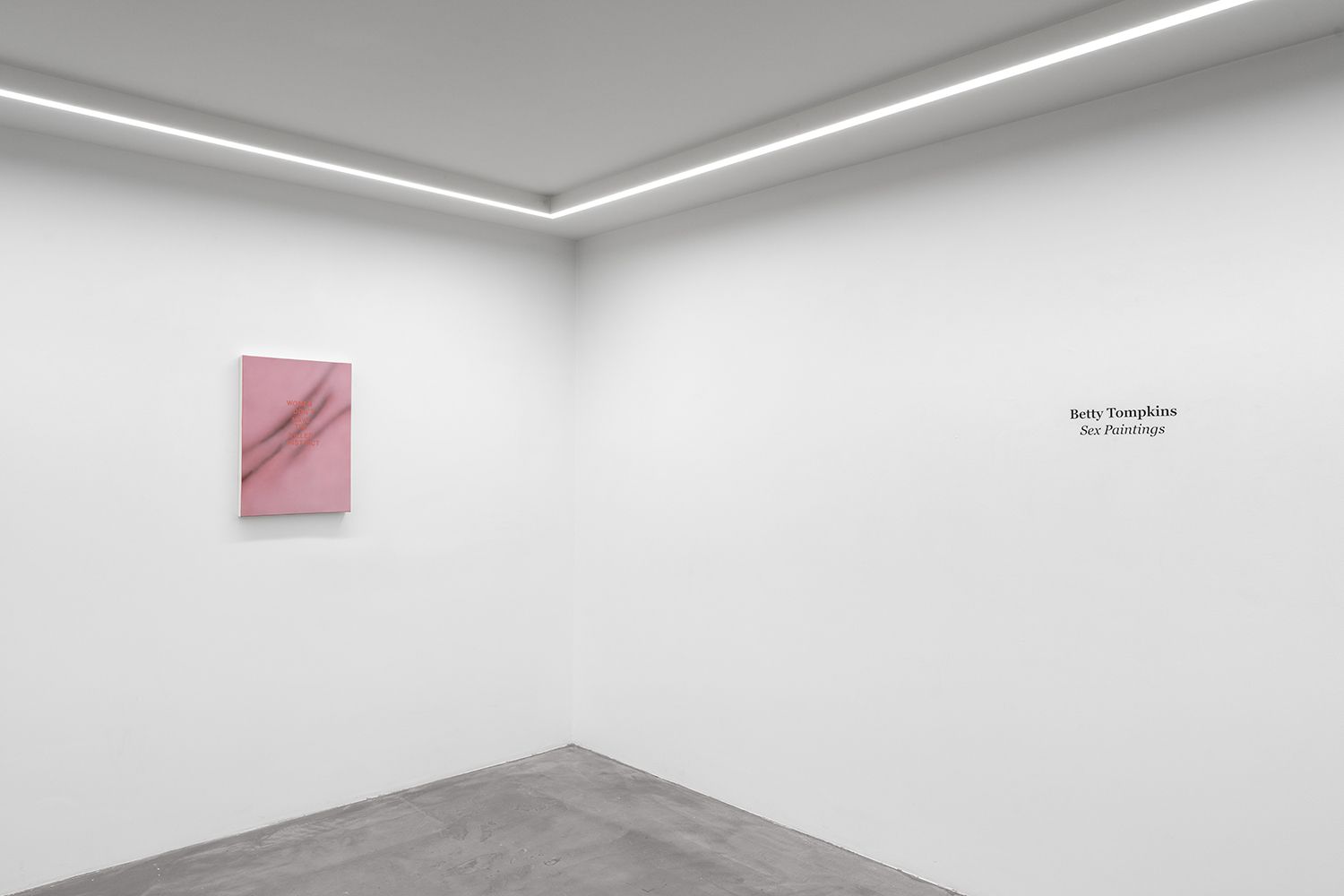 Betty Tompkins, Sex Paintings at Bremond Capela, photo 10