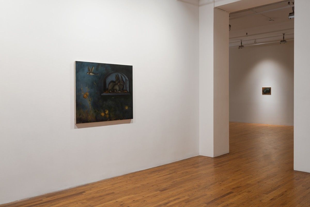 Lewis Hammond, The Rabbits at 47 Canal, photo 6