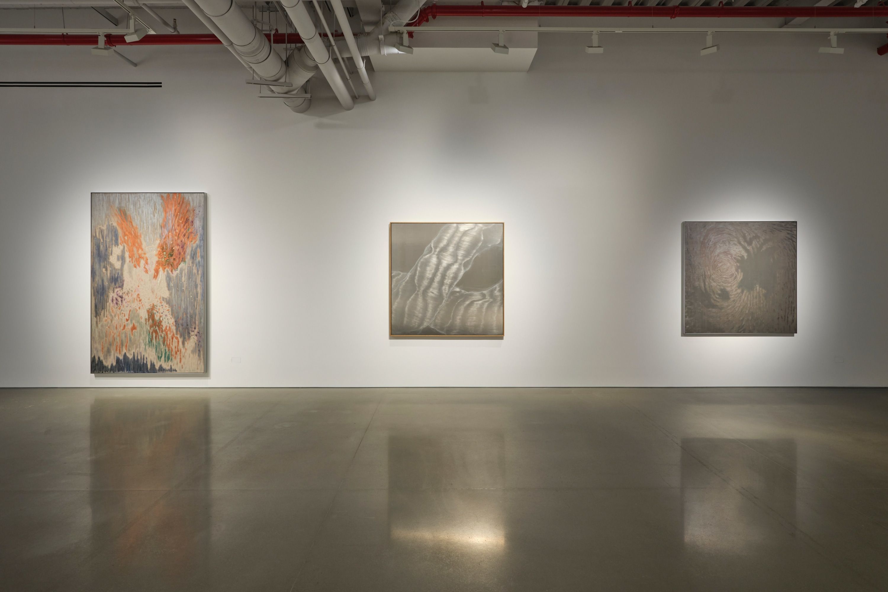 WangShui, WangShui at Kurimanzutto, photo 2