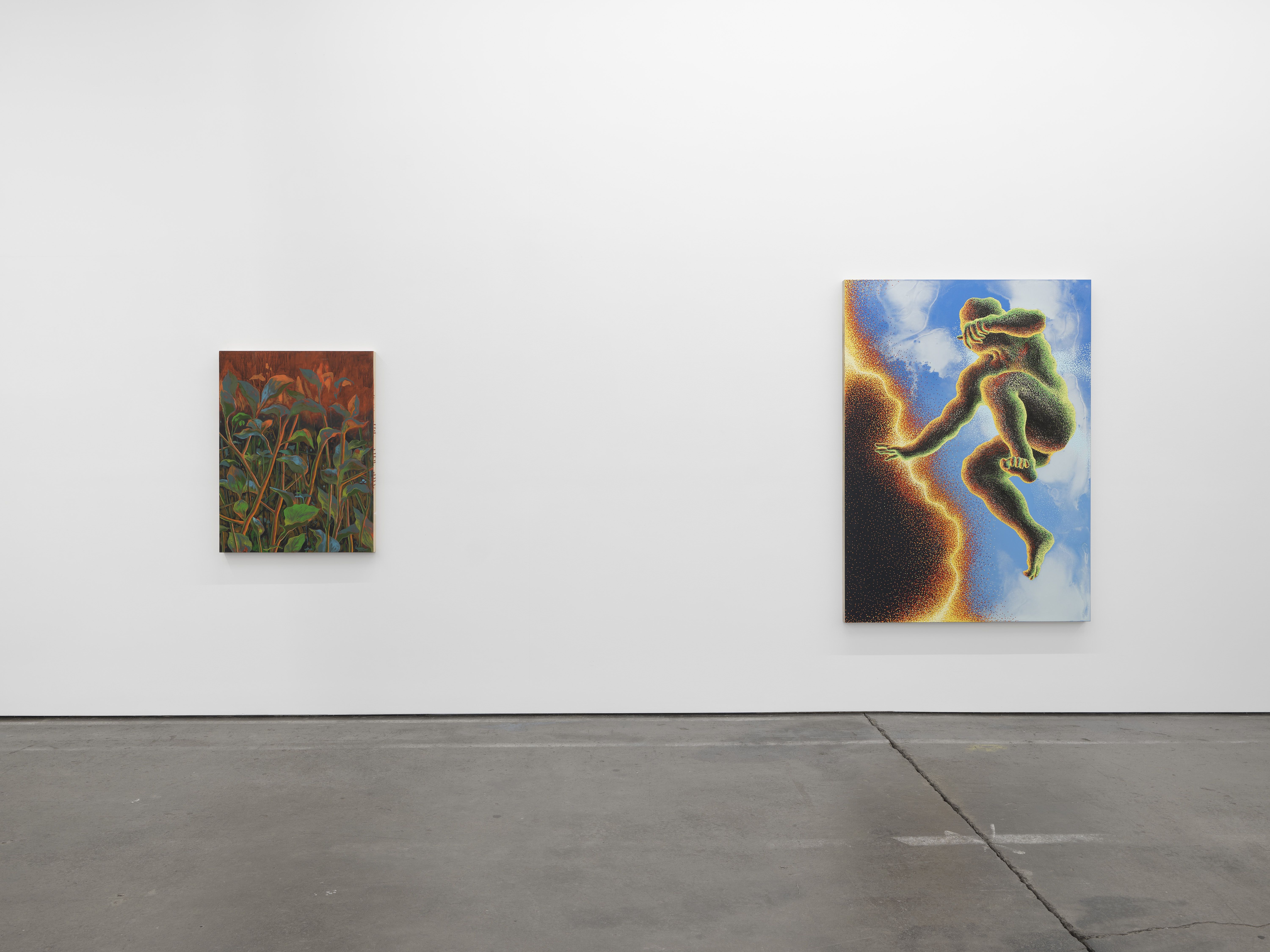 Didier William, Beyond the Bodies’ Edge at Altman Siegel, photo 3