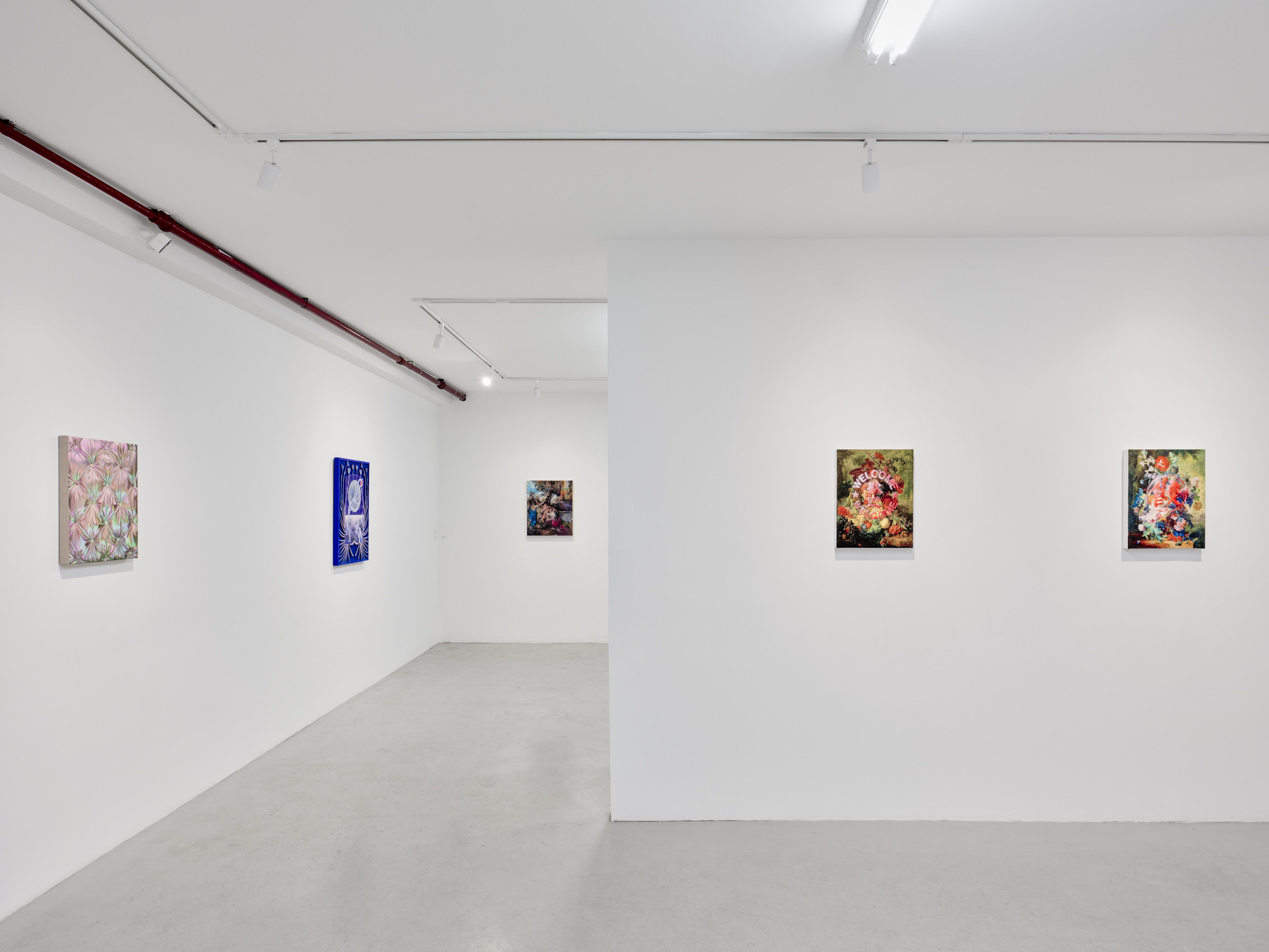 Exaltation, Exaltation at Plato, photo 19
