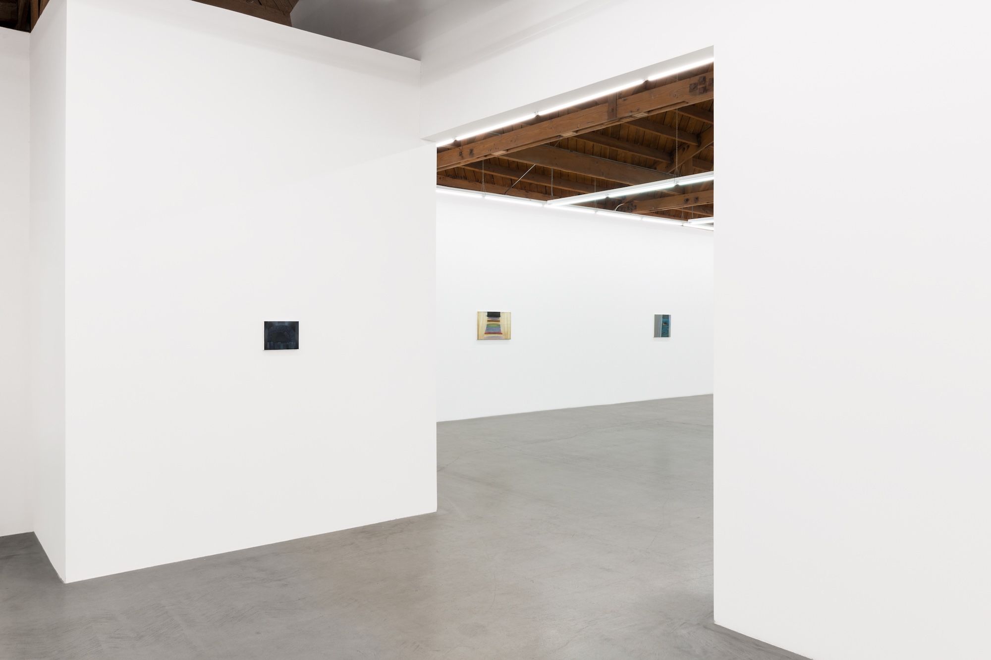 Kristy Luck, Ground for Assumptions at Parrasch Heijnen, photo 3
