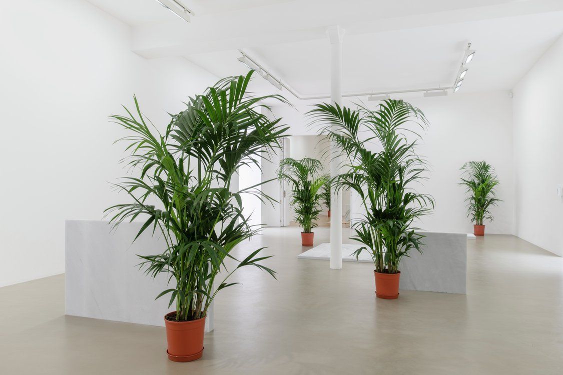 Rirkrit Tiravanija, Untitled 2020 (Once Upon a Time) (After Jasper Johns) at Chantal Crousel, photo 5