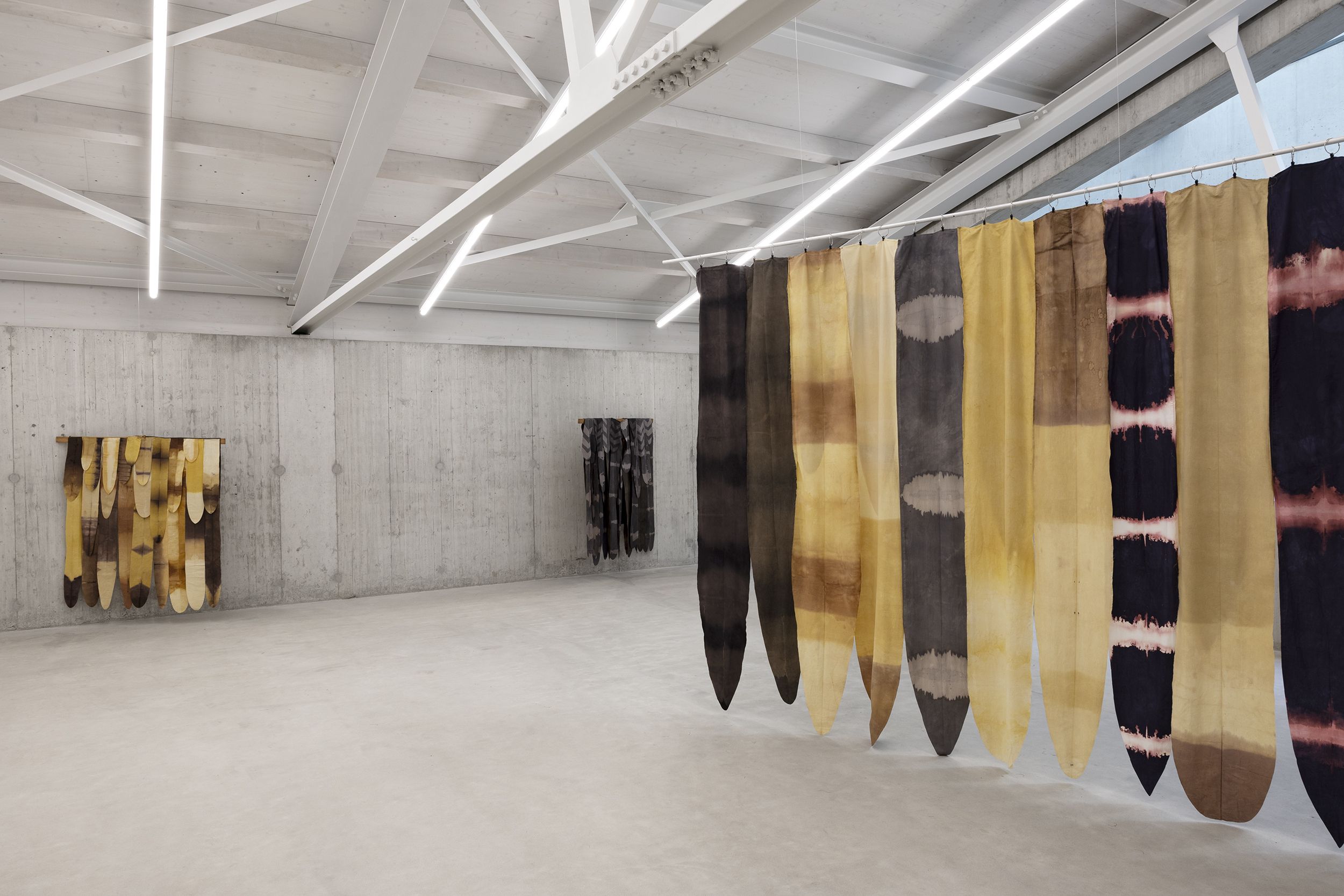Whispers From Tides and Forests, Whispers From Tides and Forests at Kunsthaus Baselland, photo 6
