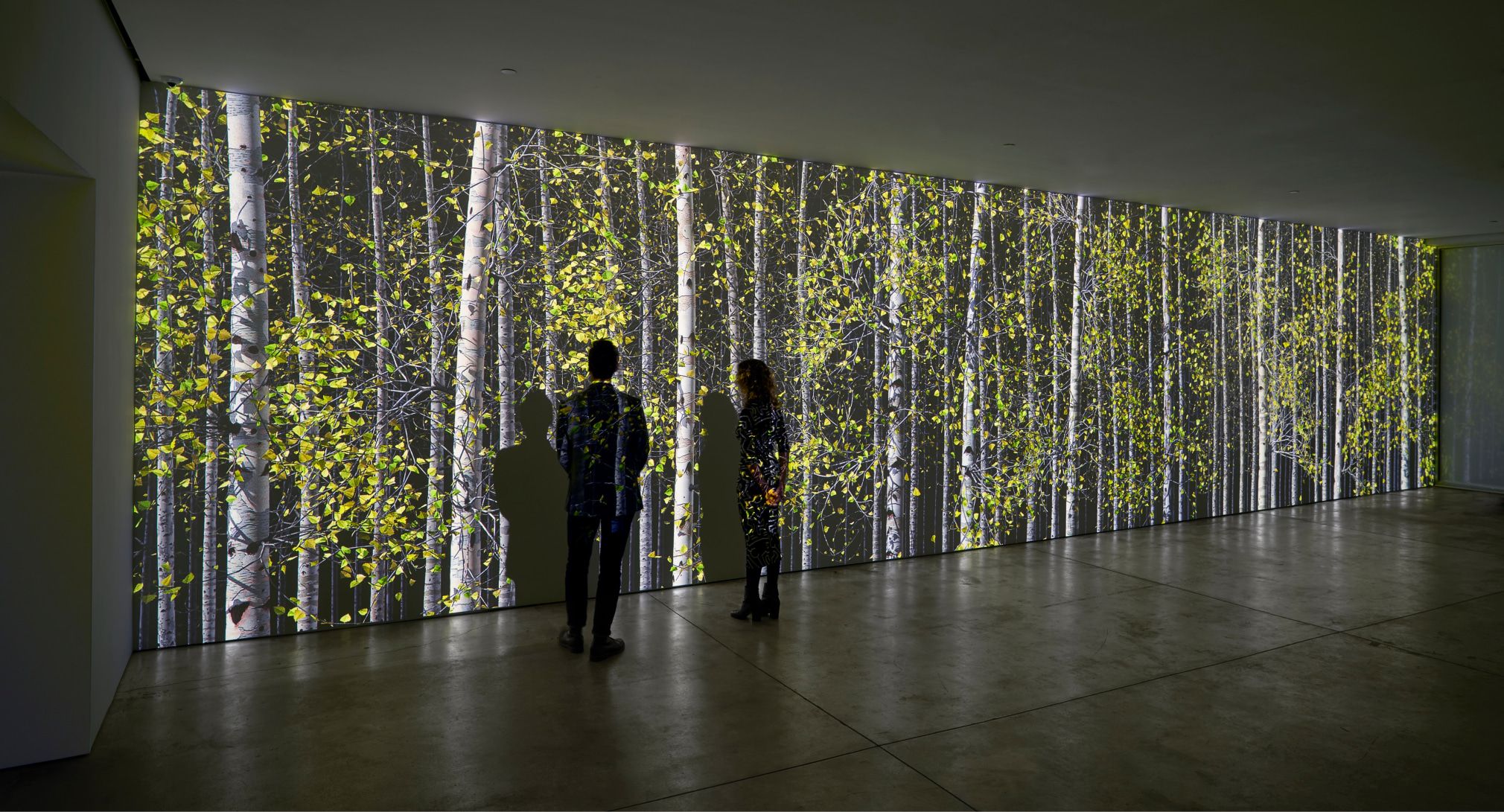 2022-23 Exhibitions, 2022-23 Exhibitions at Margulies Collection at the Warehouse, photo 4