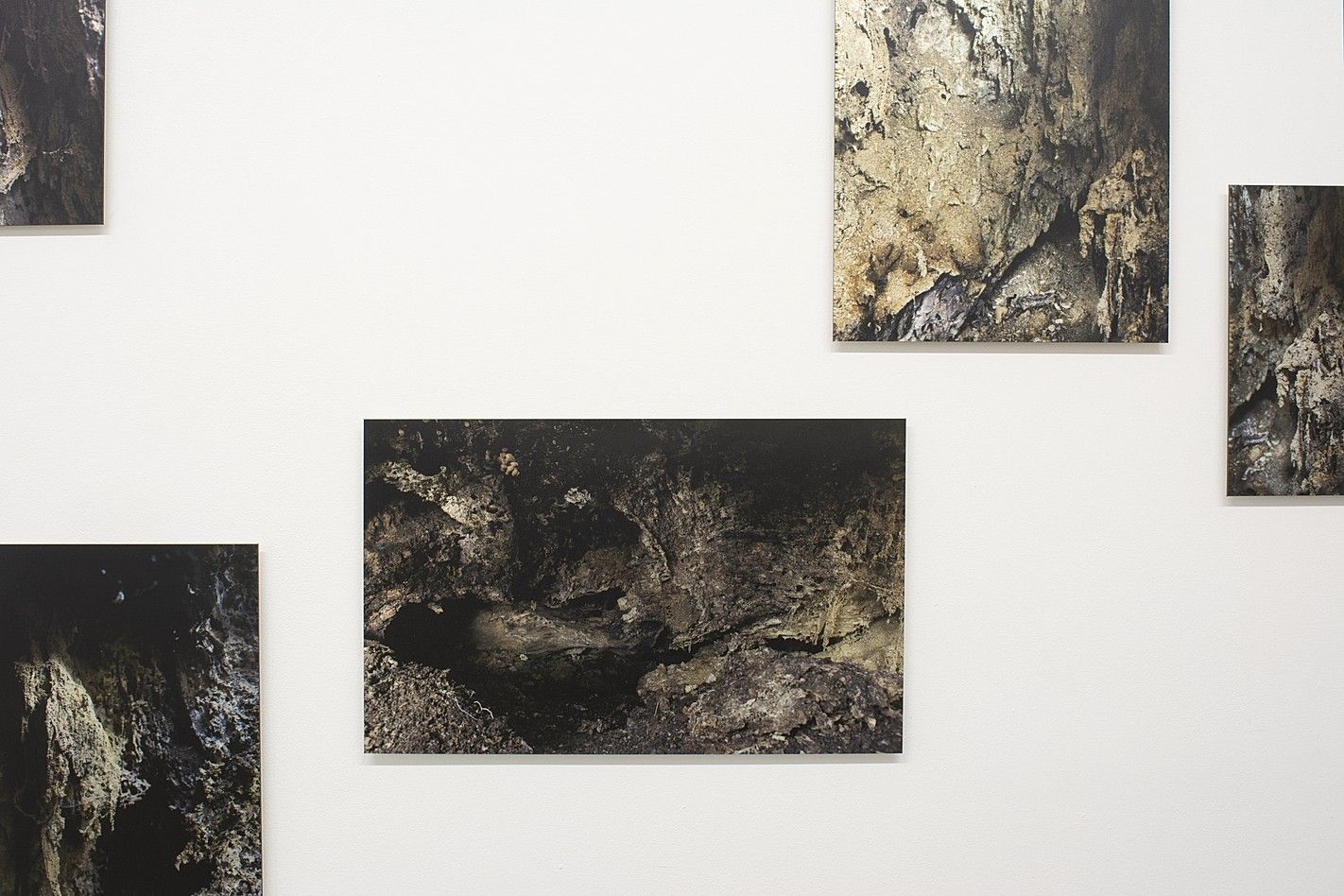 Cécile Beau, Hylé at 22,48 m², photo 5