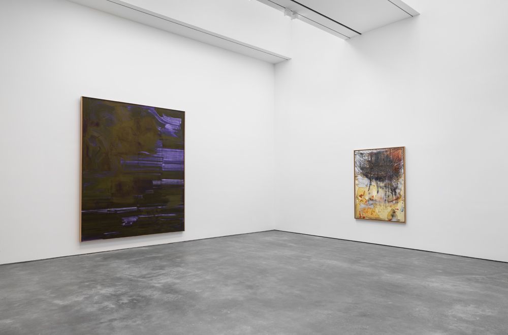 Sigmar Polke, Eine Winterreise at David Zwirner, photo 7