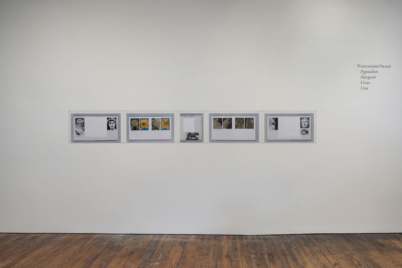 Rosalind Nashashibi & Lucy Skaer, image 8 of 10