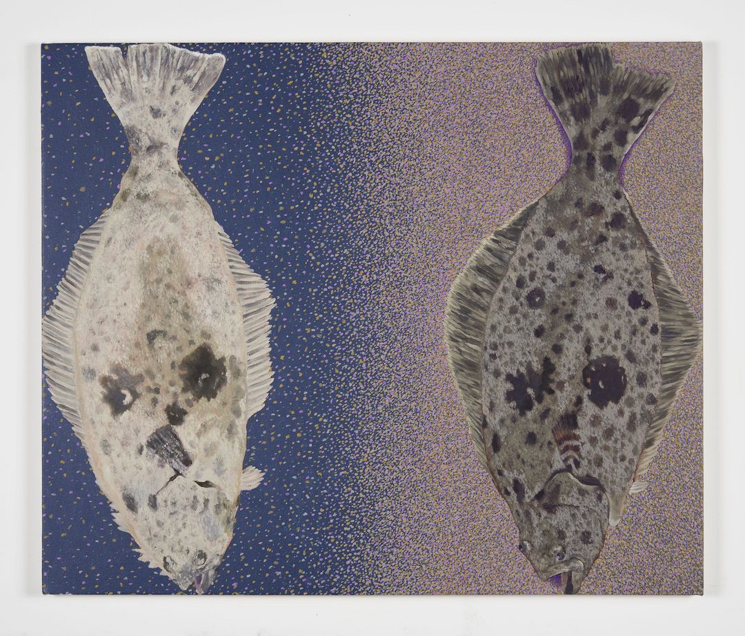 Adam Higgins, Flatfish at Hunter Shaw Fine Art, photo 8