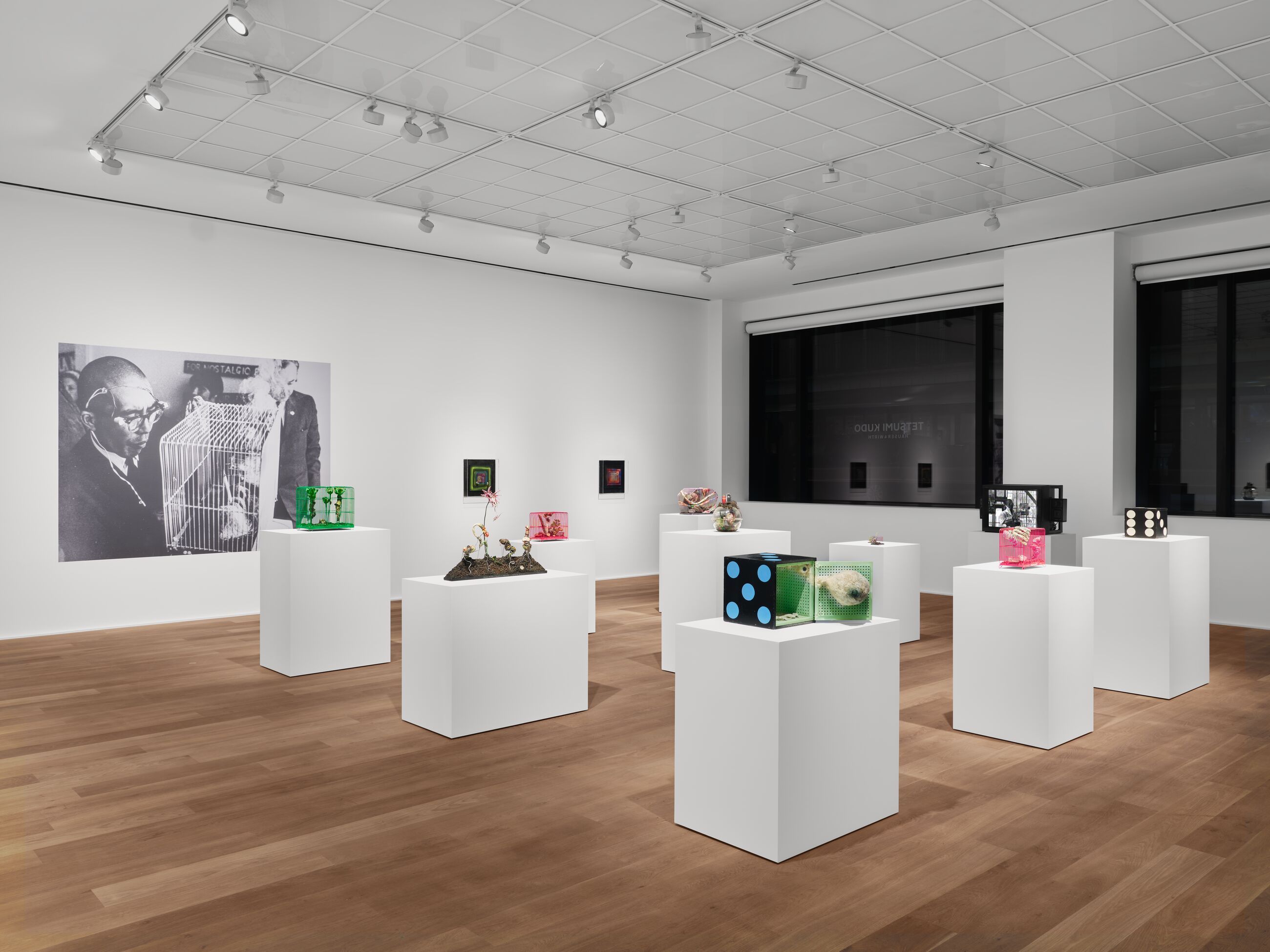 Tetsumi Kudo, Microcosms at Hauser & Wirth, photo 4