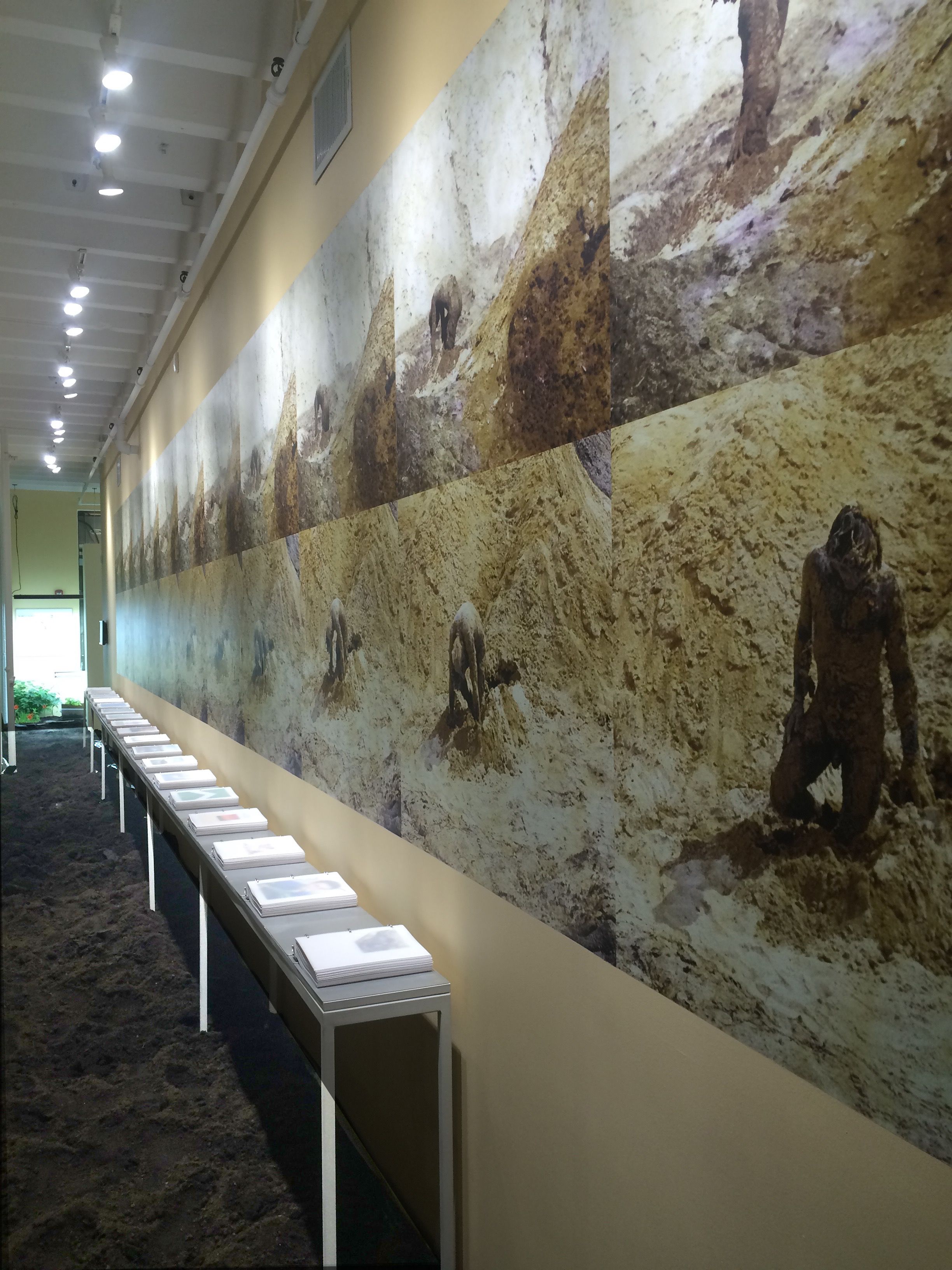 Social Ecologies, Social Ecologies at Rail Curatorial Projects, photo 2