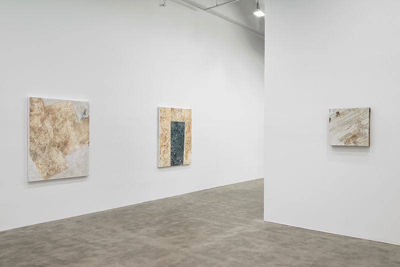 Virginia Martinsen, image 3 of 3