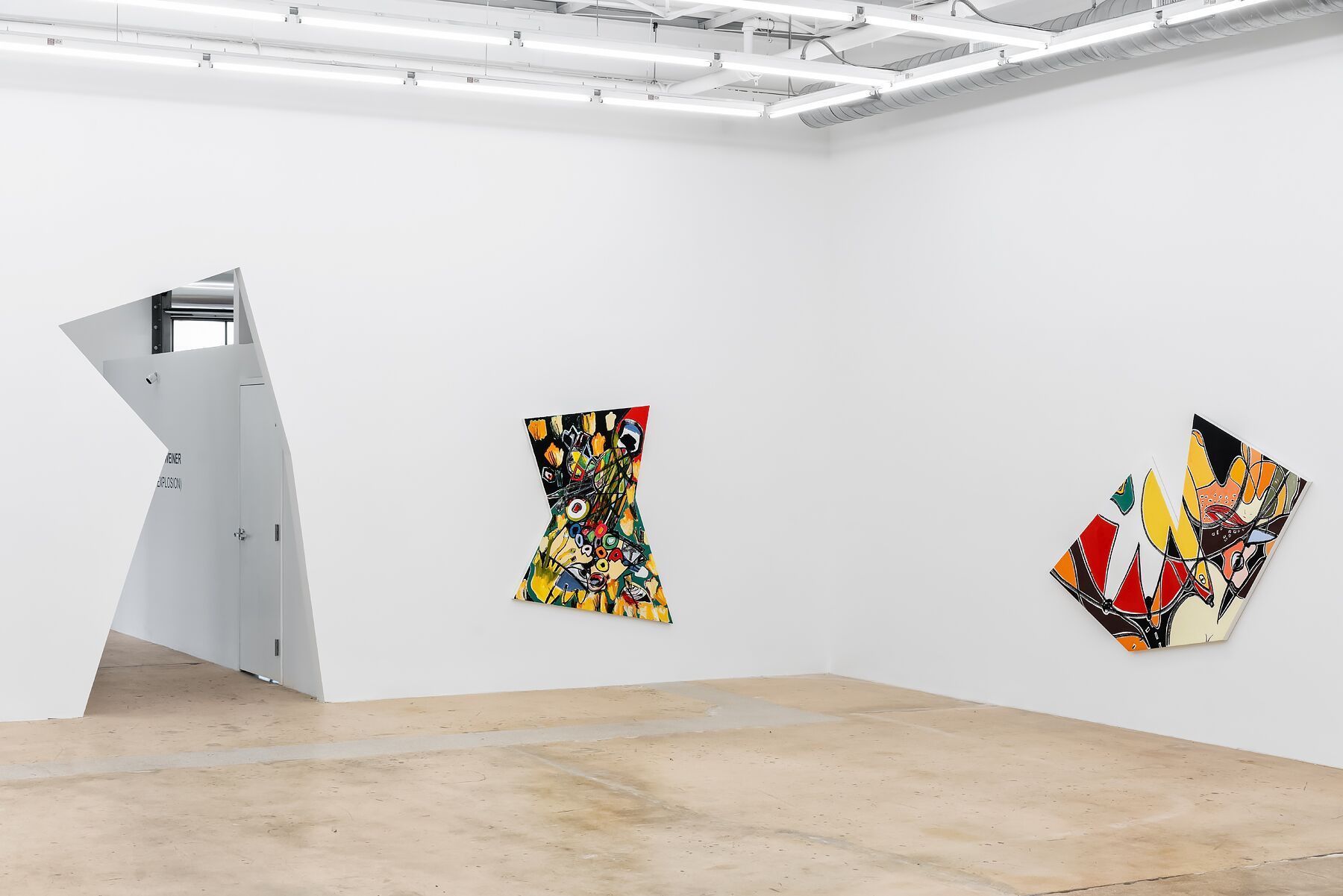 Austyn Weiner, image 6 of 12