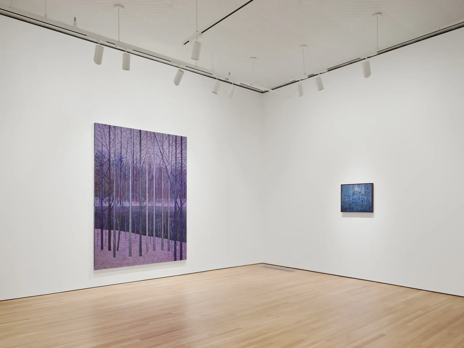 Sky Glabush, The Letters of This Alphabet Were Trees at Stephen Friedman, photo 6