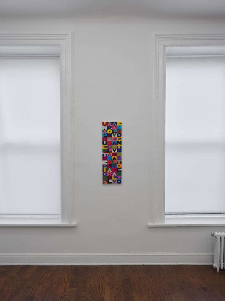 Wolfgang Tillmans & Alighiero Boetti, A Word to the Wind at Leo Koenig Inc., photo 3