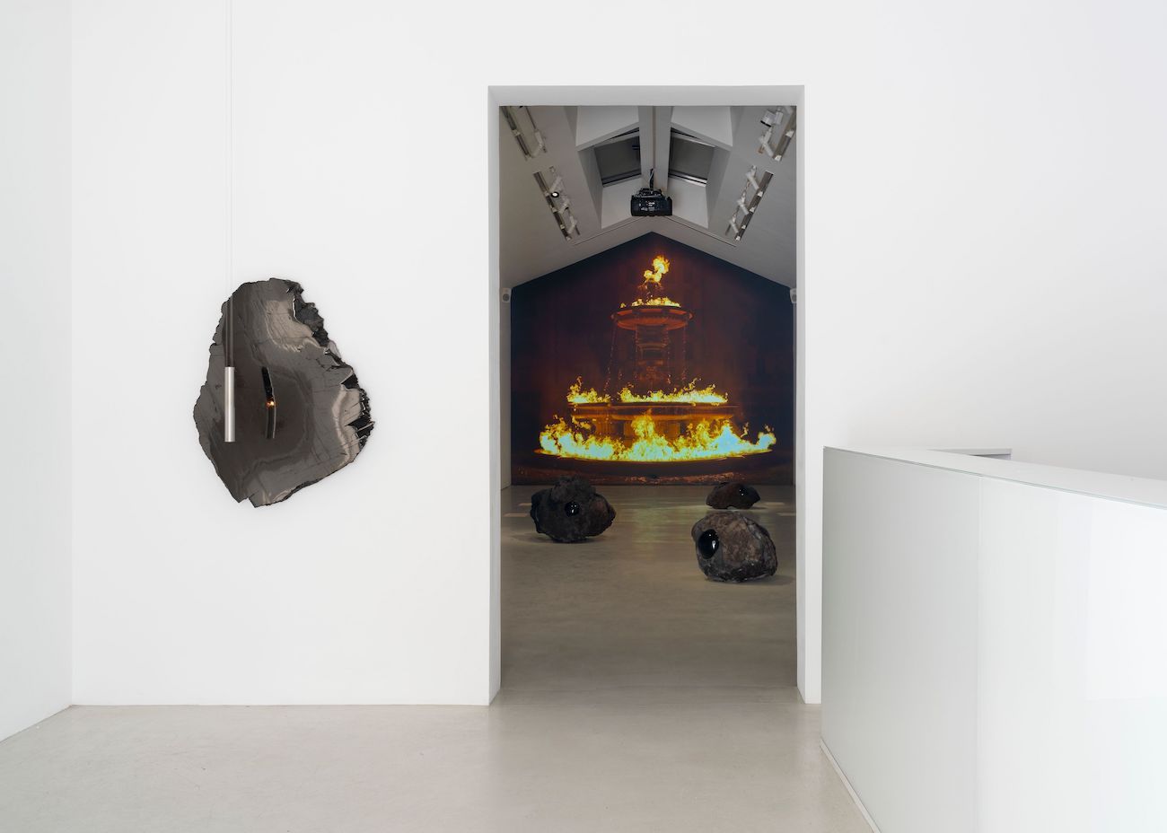 Julian Charrière, Panchronic Gardens at Perrotin, photo 2