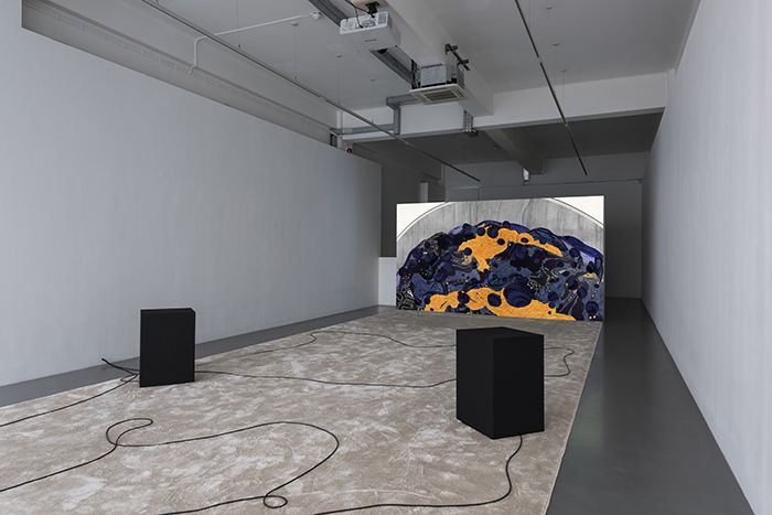 Rachel Rose, Lake Valley at Pilar Corrias, photo 3