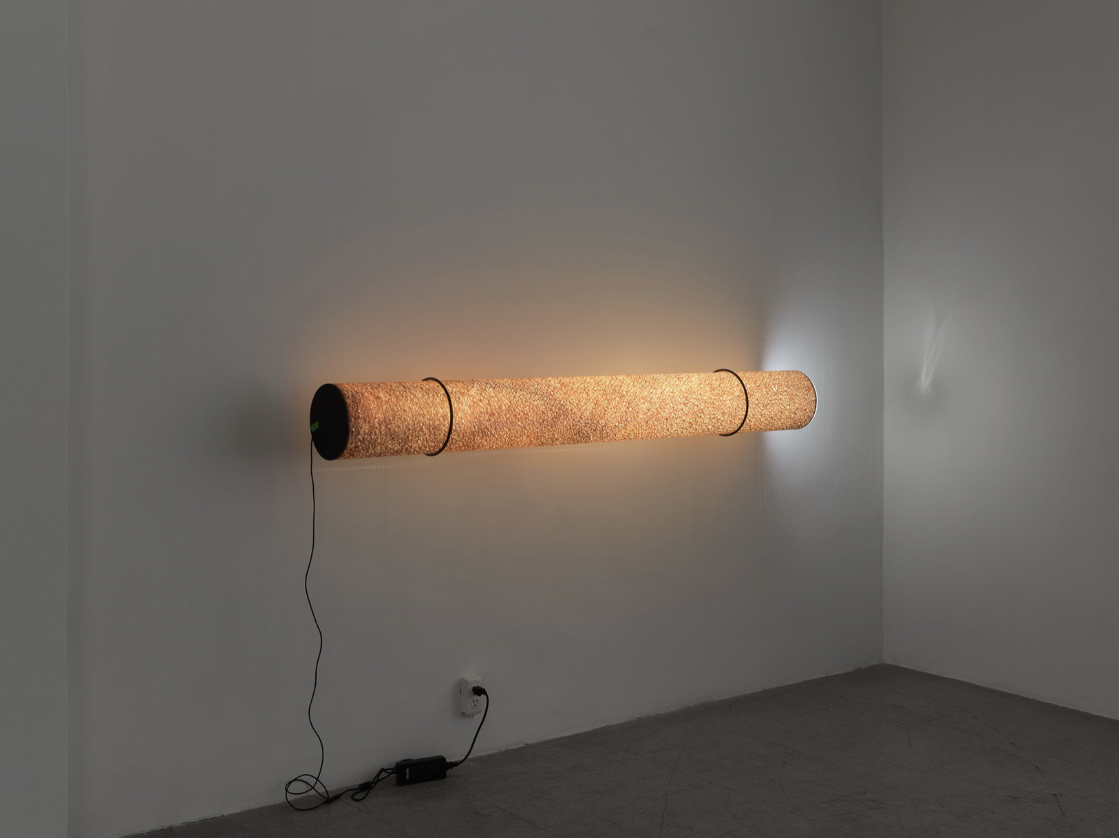 Seth Price, I Don't Miss My Mind at Gaga & Reena Spaulings, photo 8