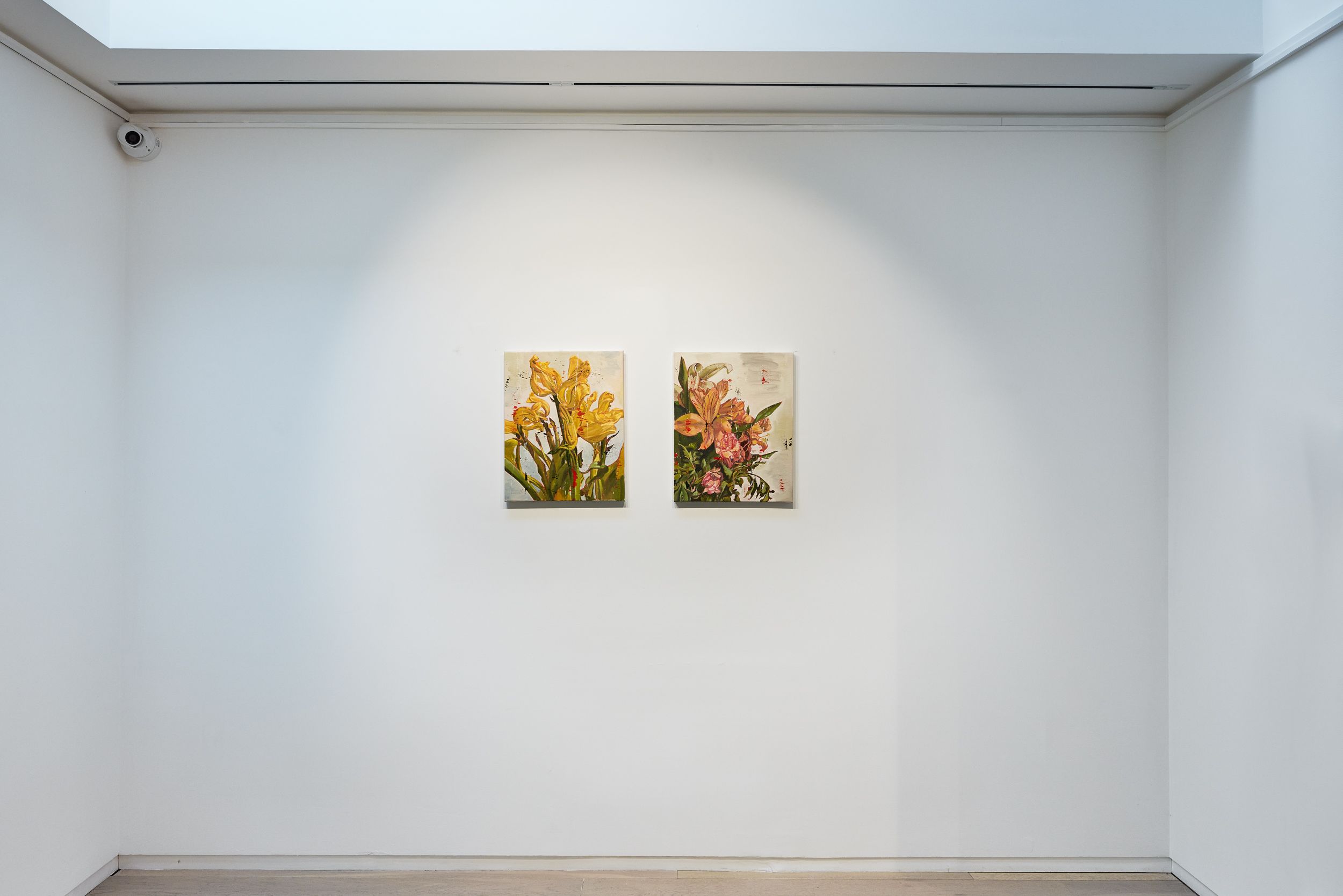 Nicky Nodjoumi, Tails of the Lost Dreams at Taymour Grahne Projects, photo 2