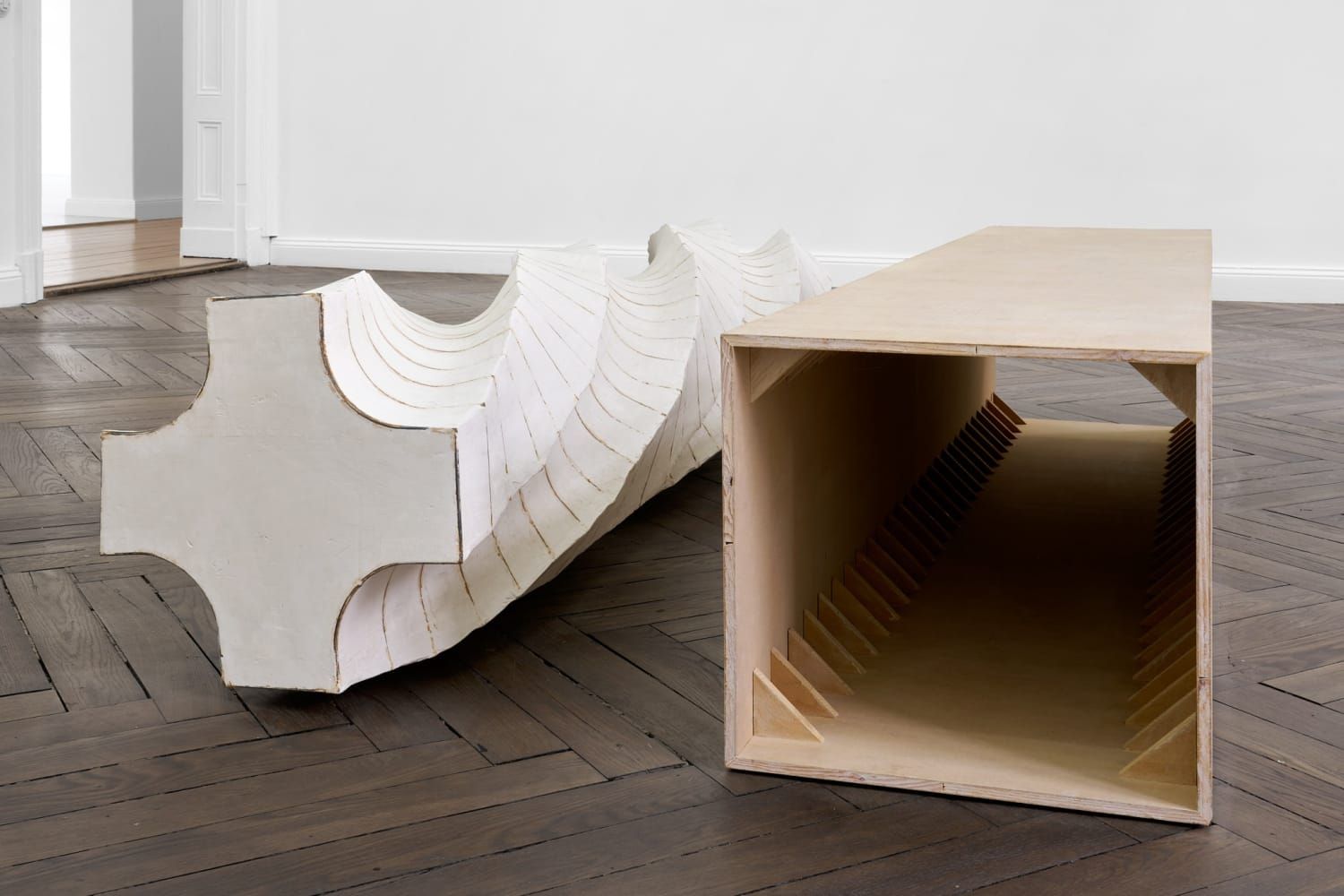 Leunora Salihu & Albrecht Schnider, A Plant. A Person. A Life. at Thomas Schulte, photo 5